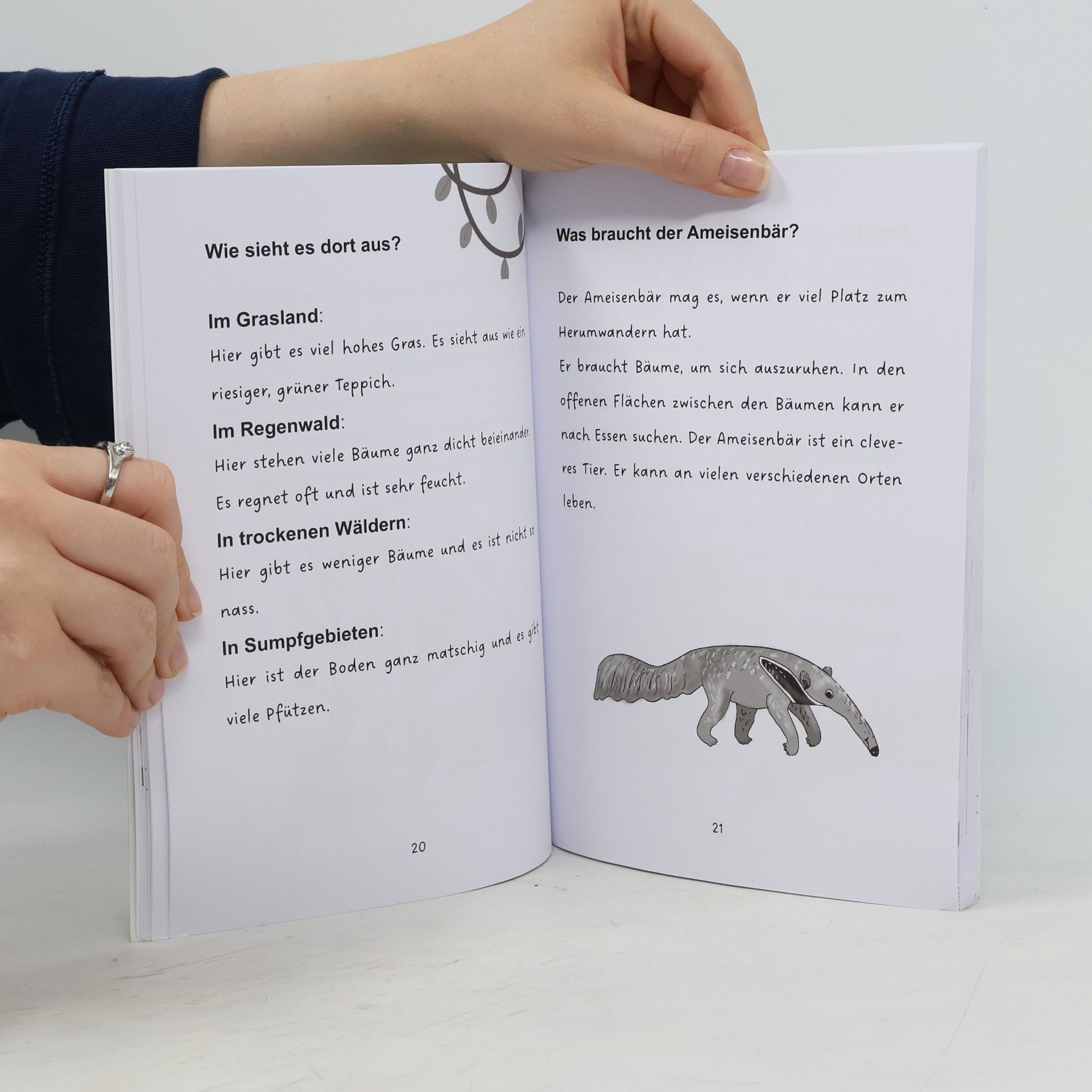 Andra Wolter Mein unglaubliches Ameisenbären Wissen
