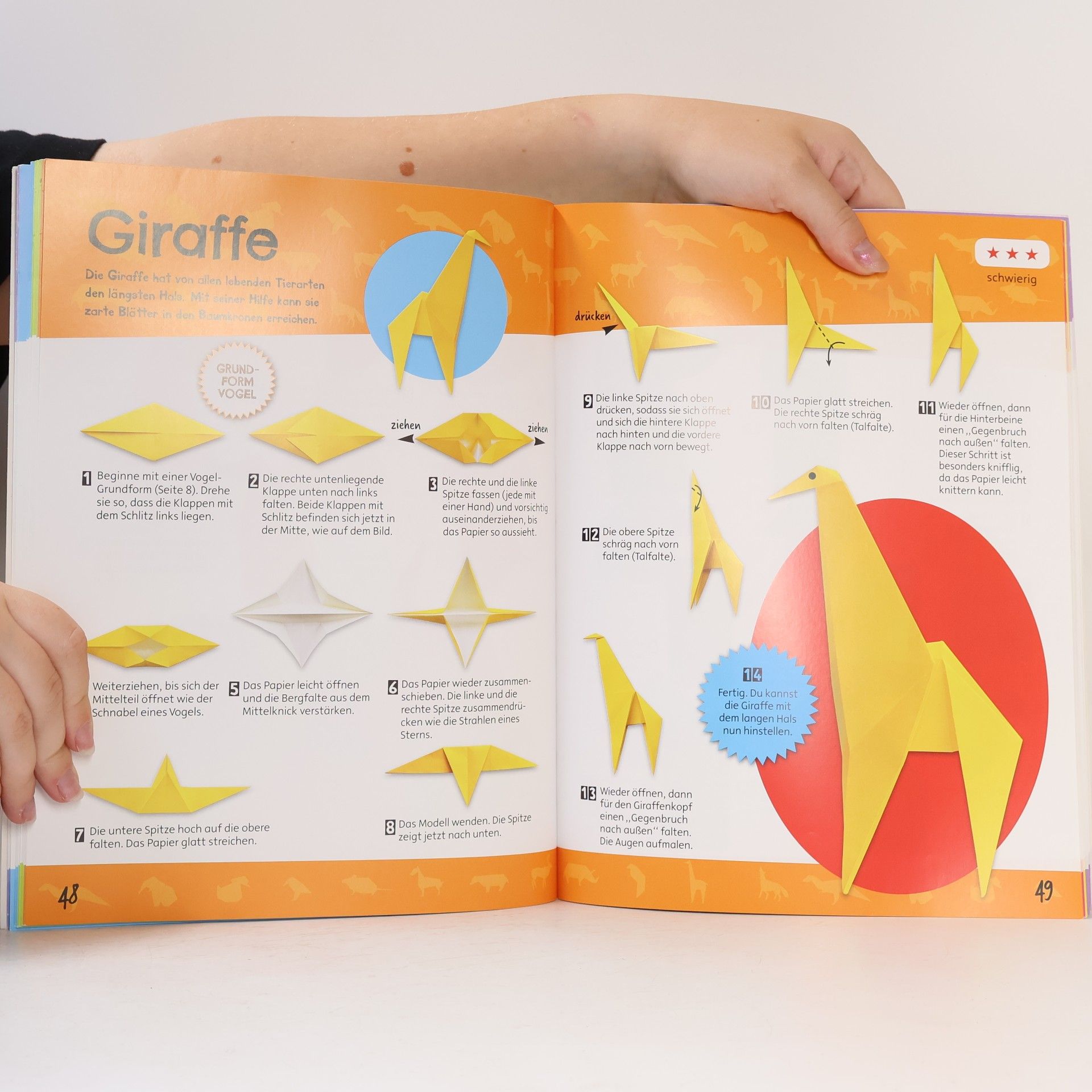 Autorenkollektiv Origami