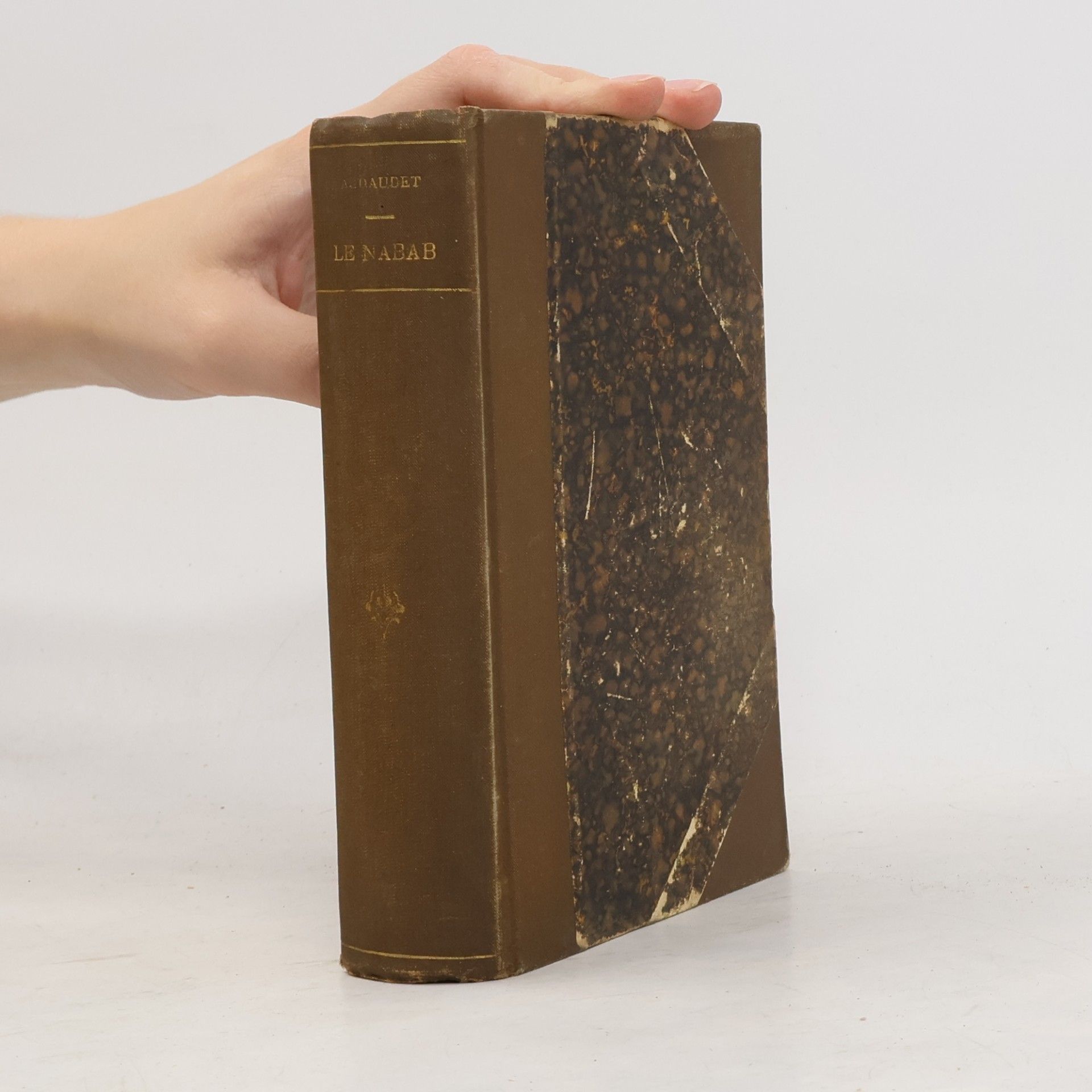 Alphonse Daudet Le Nabab