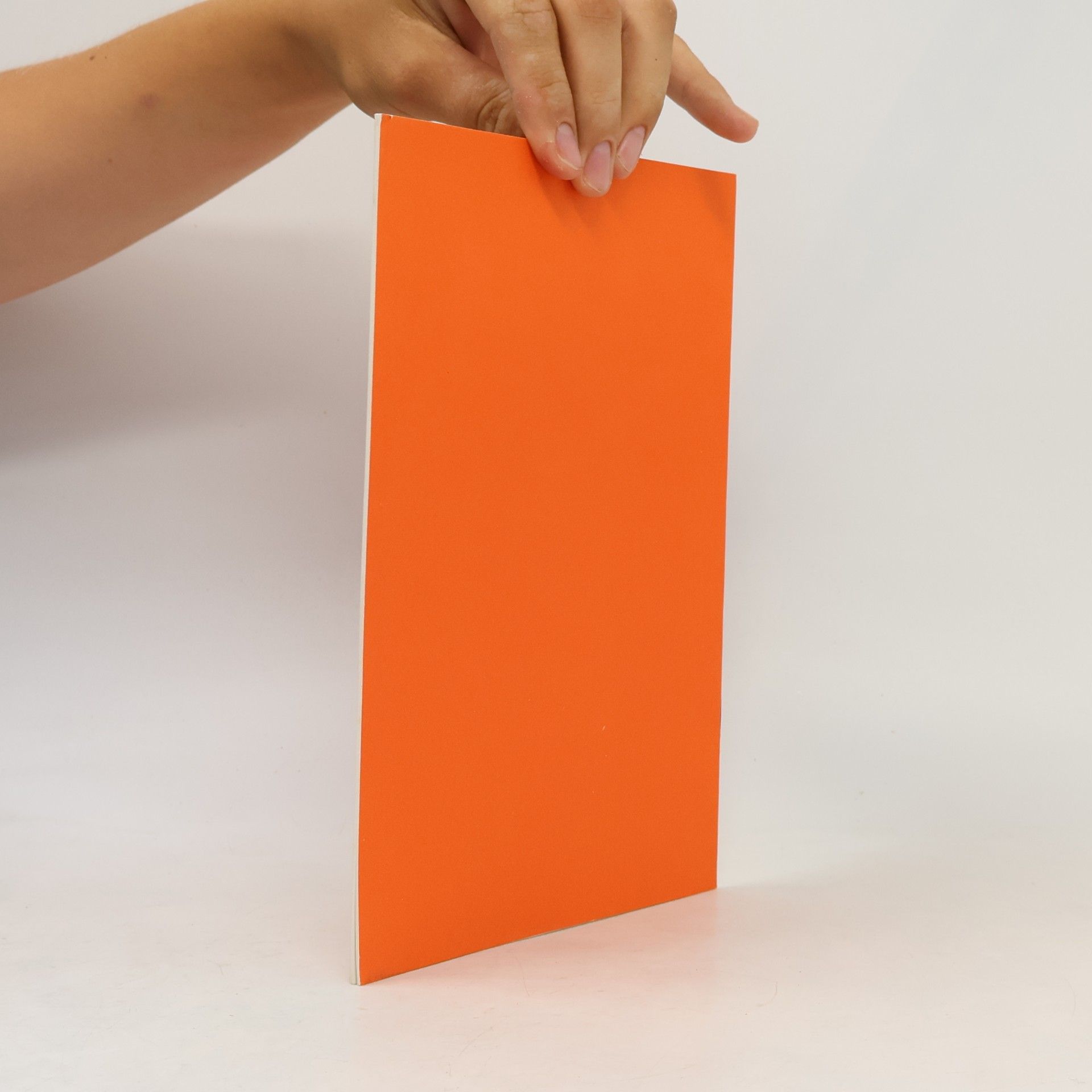 Hubert Schriefers Vorlesungsreihe Schering 4