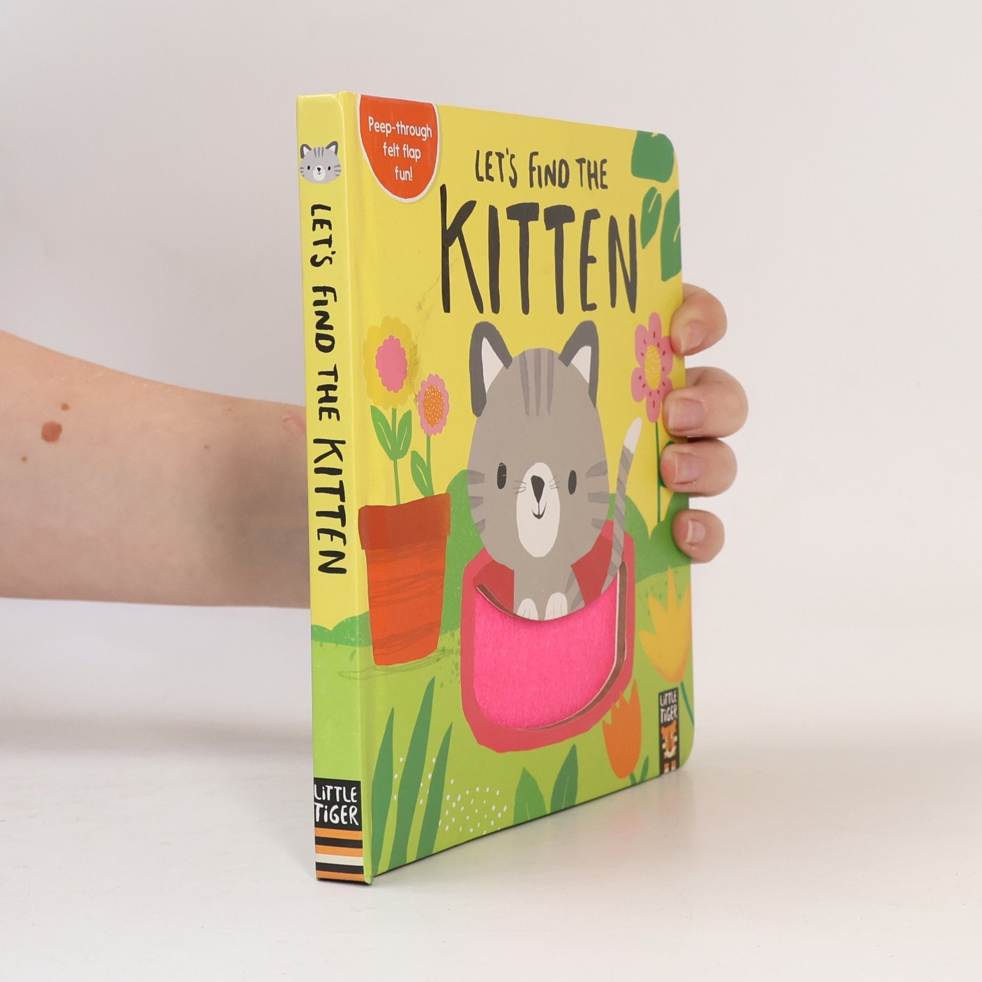 Let's Find the Kitten