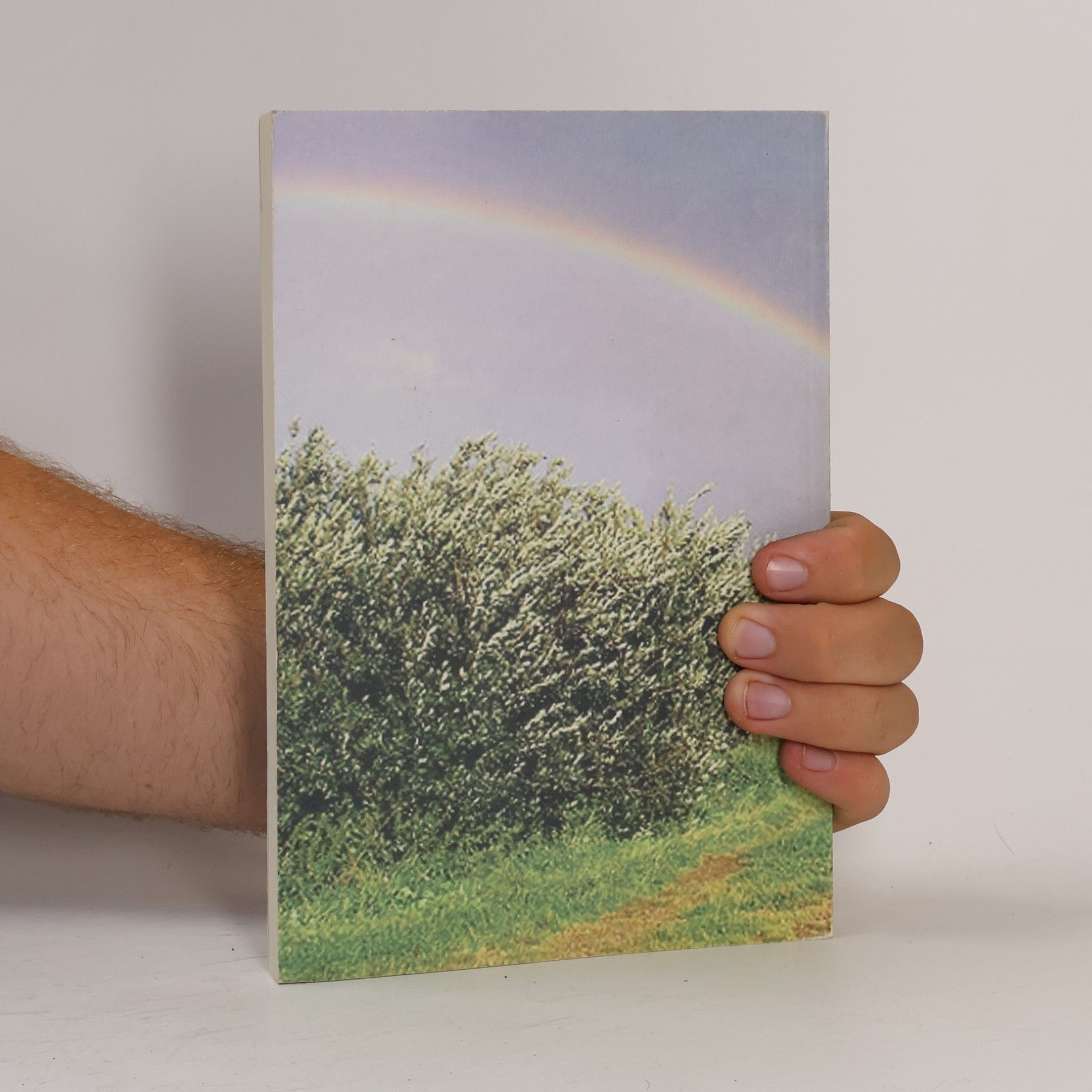 Gerhard Riedel Die Sprache des Regenbogens