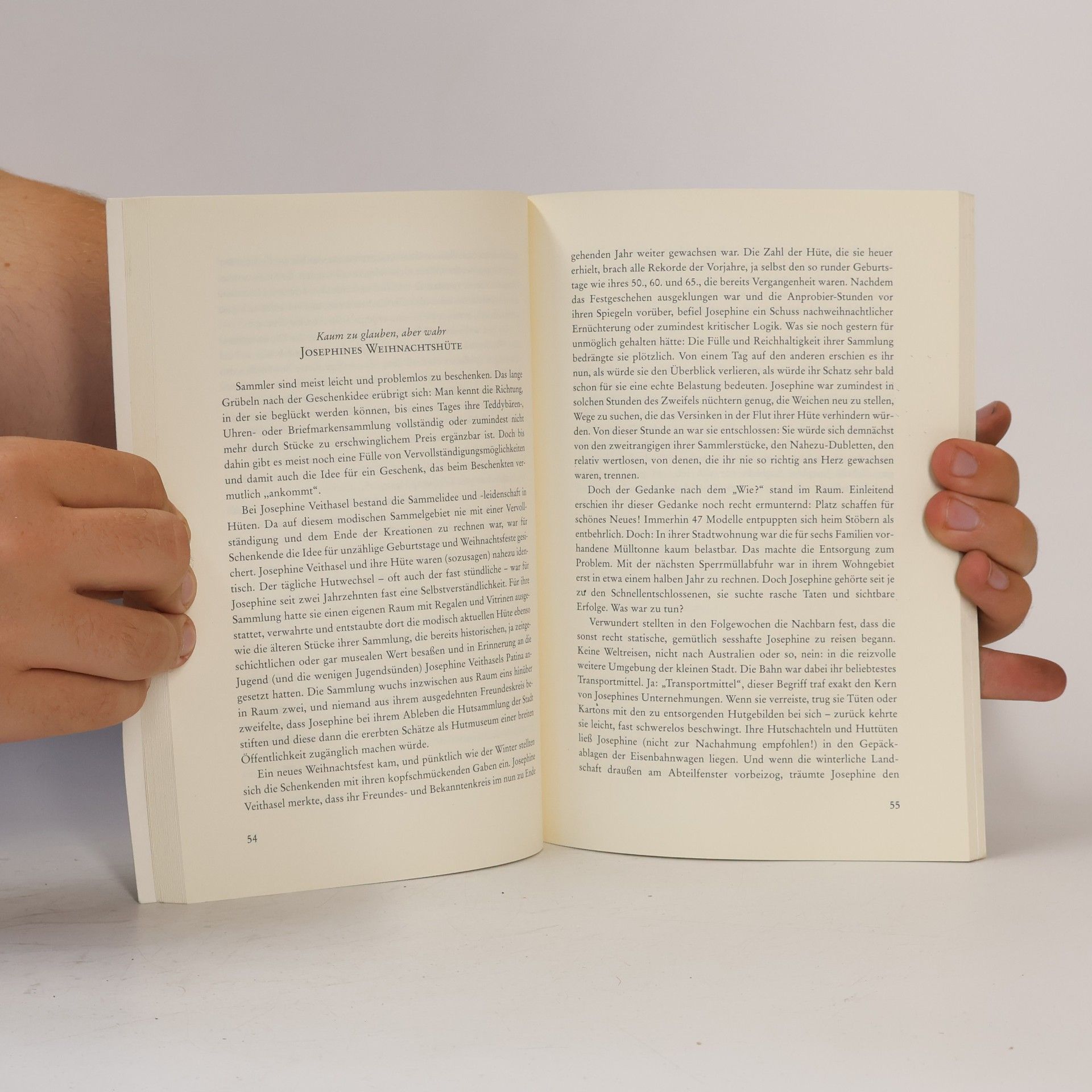 Gerhard Riedel Die Sprache des Regenbogens