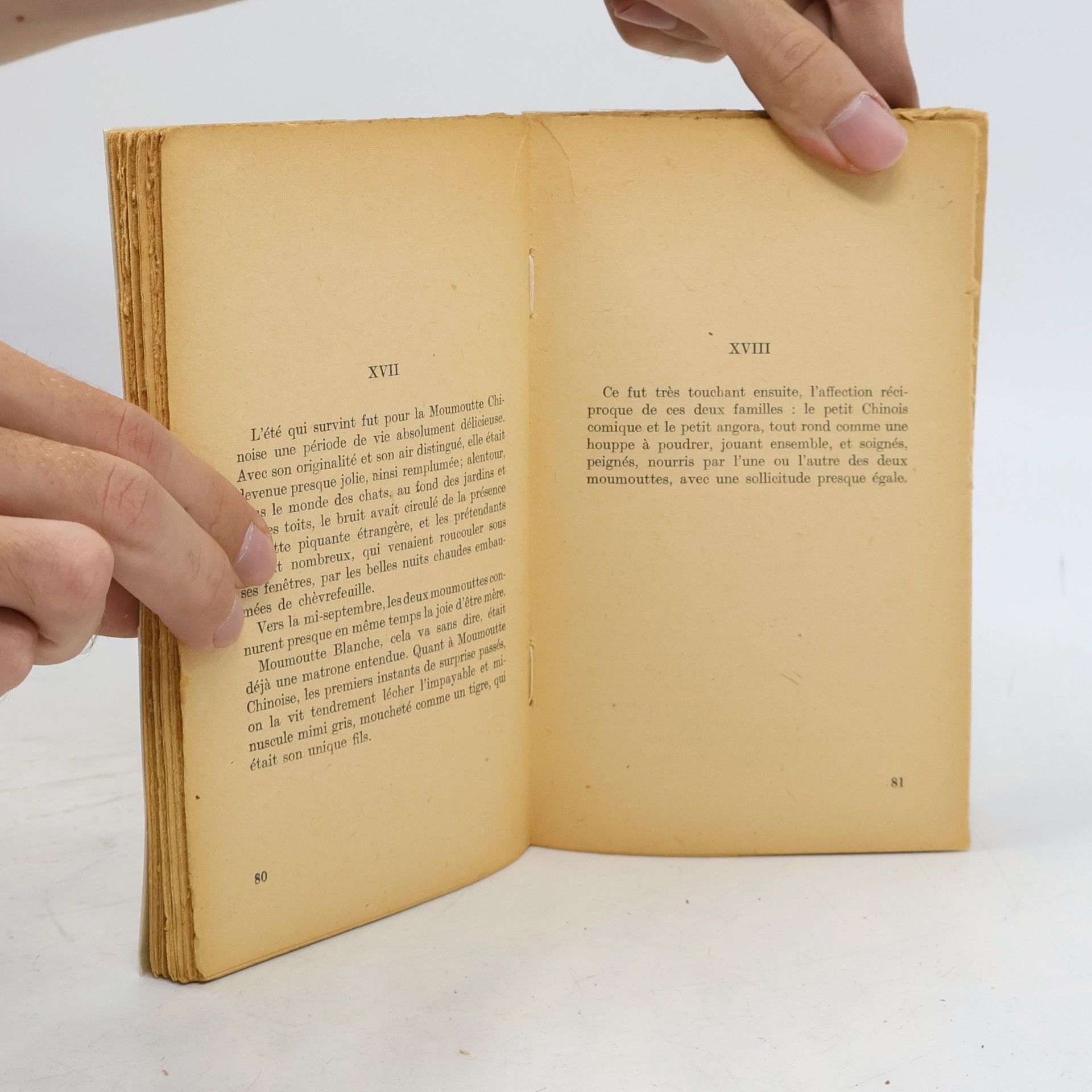 Pierre Loti Le livre de la pitié et de la mort
