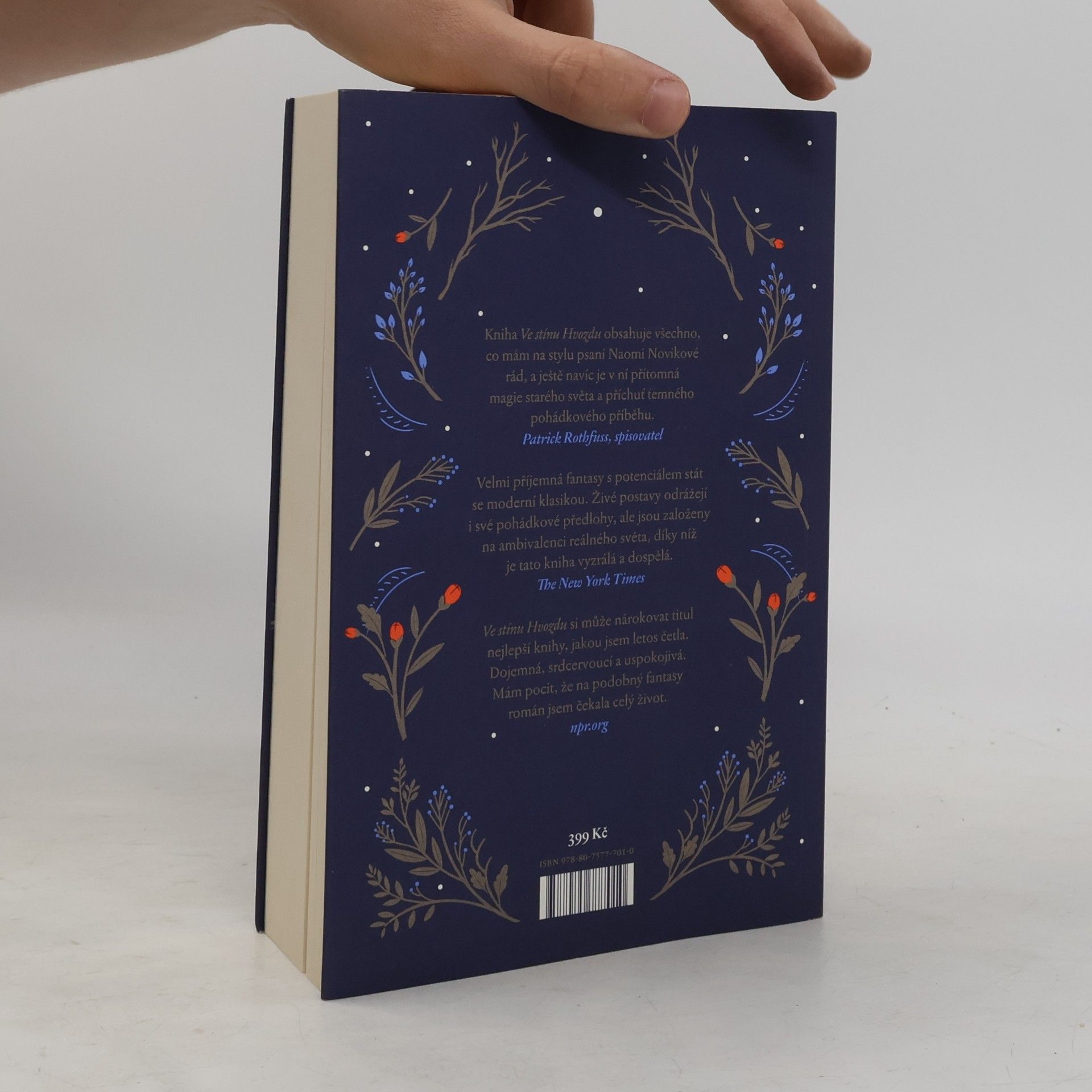 Naomi Novik Ve stínu Hvozdu