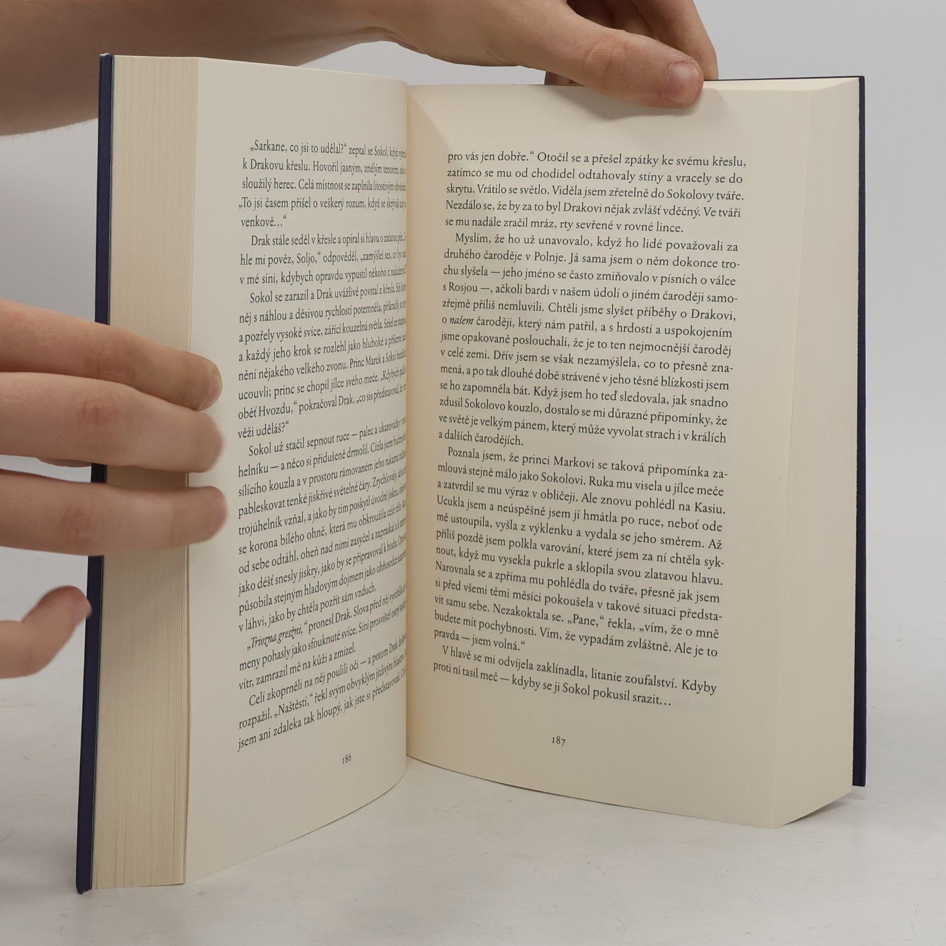 Naomi Novik Ve stínu Hvozdu