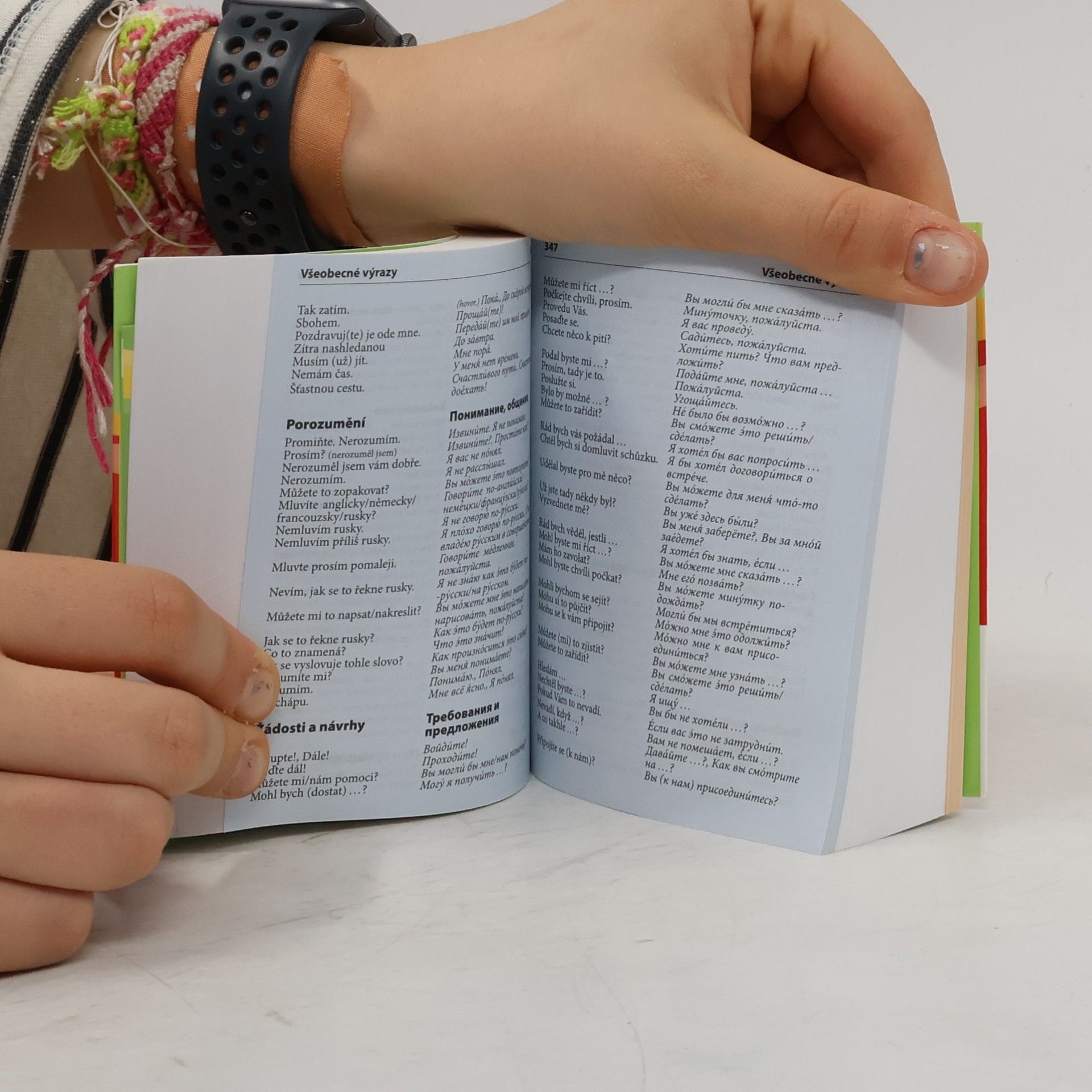 Autorenkollektiv Rusko-český, česko-ruský kapesní slovník