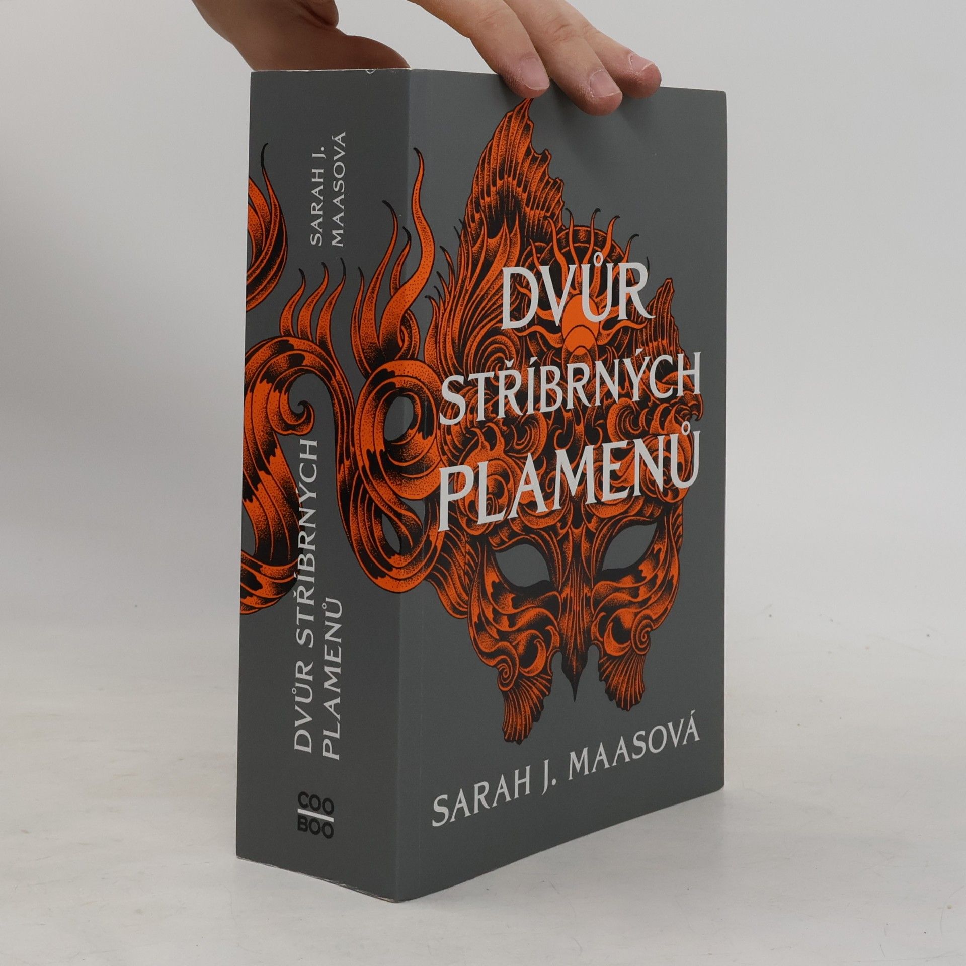 Sarah J. Maas Dvůr stříbrných plamenů