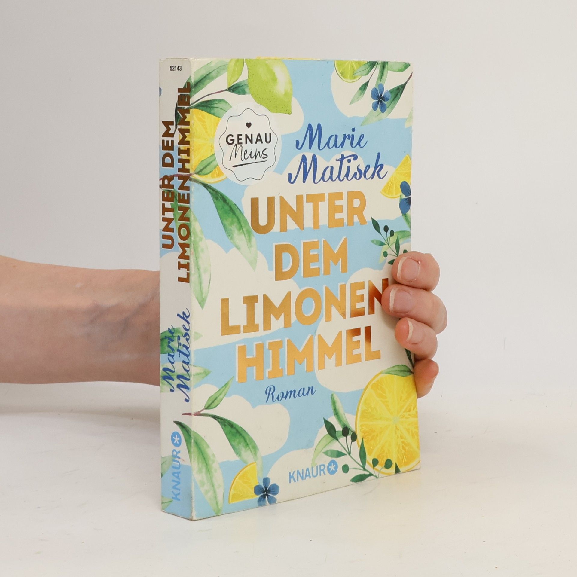 Marie Matisek Unter dem Limonenhimmel