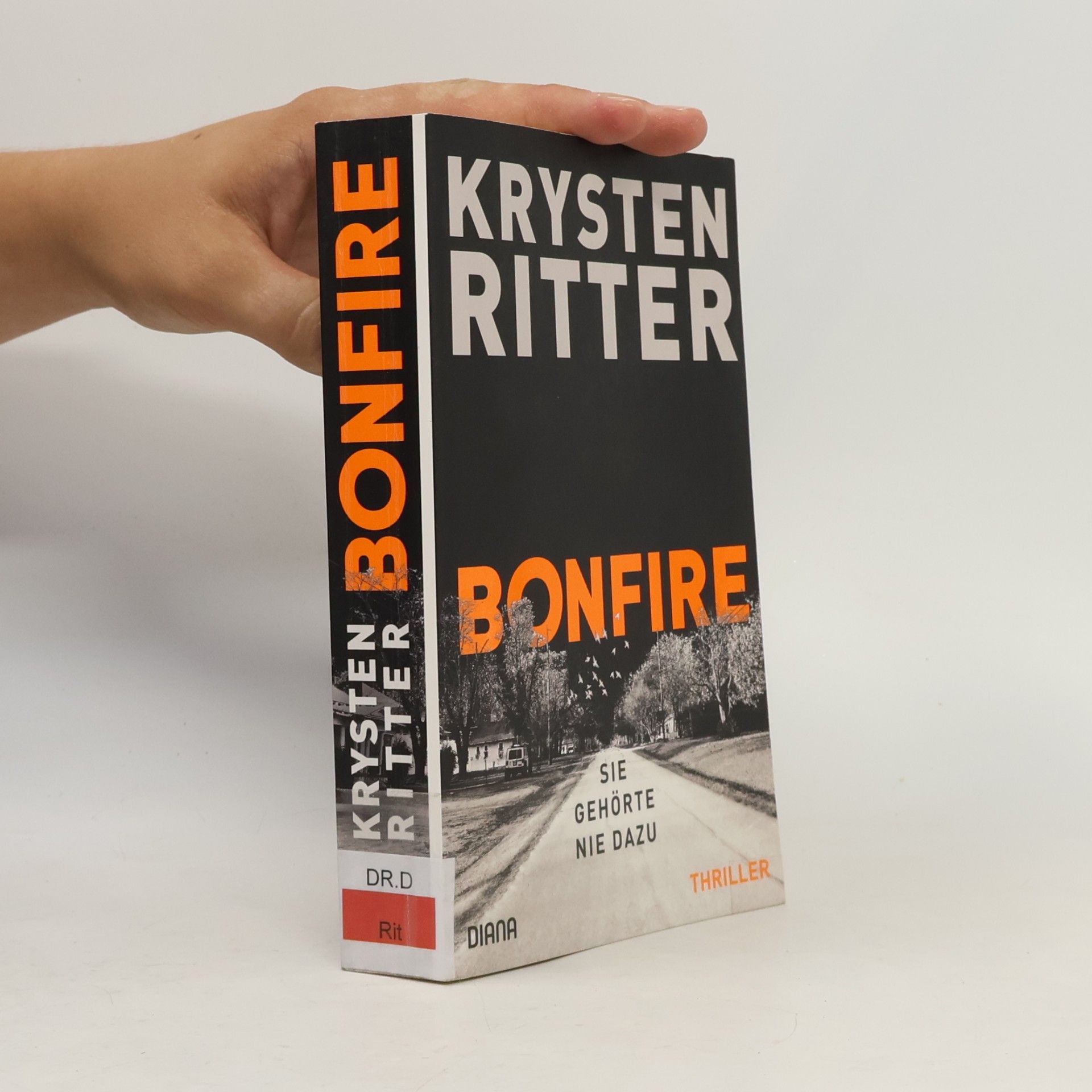 Krysten Ritter Bonfire - Sie gehörte nie dazu
