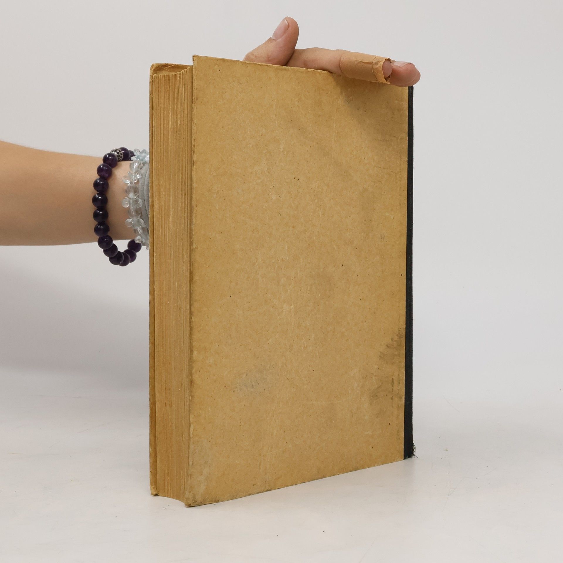 Hermann Liesegang Das deutsche Hausbuch