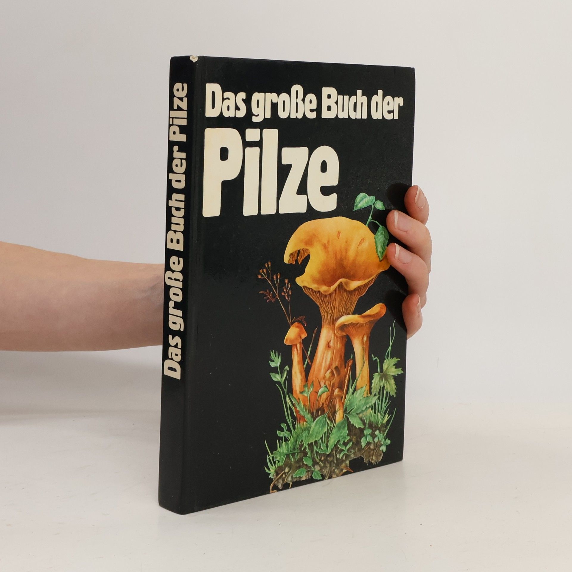 Kolektív autorov Das große Buch der Pilze