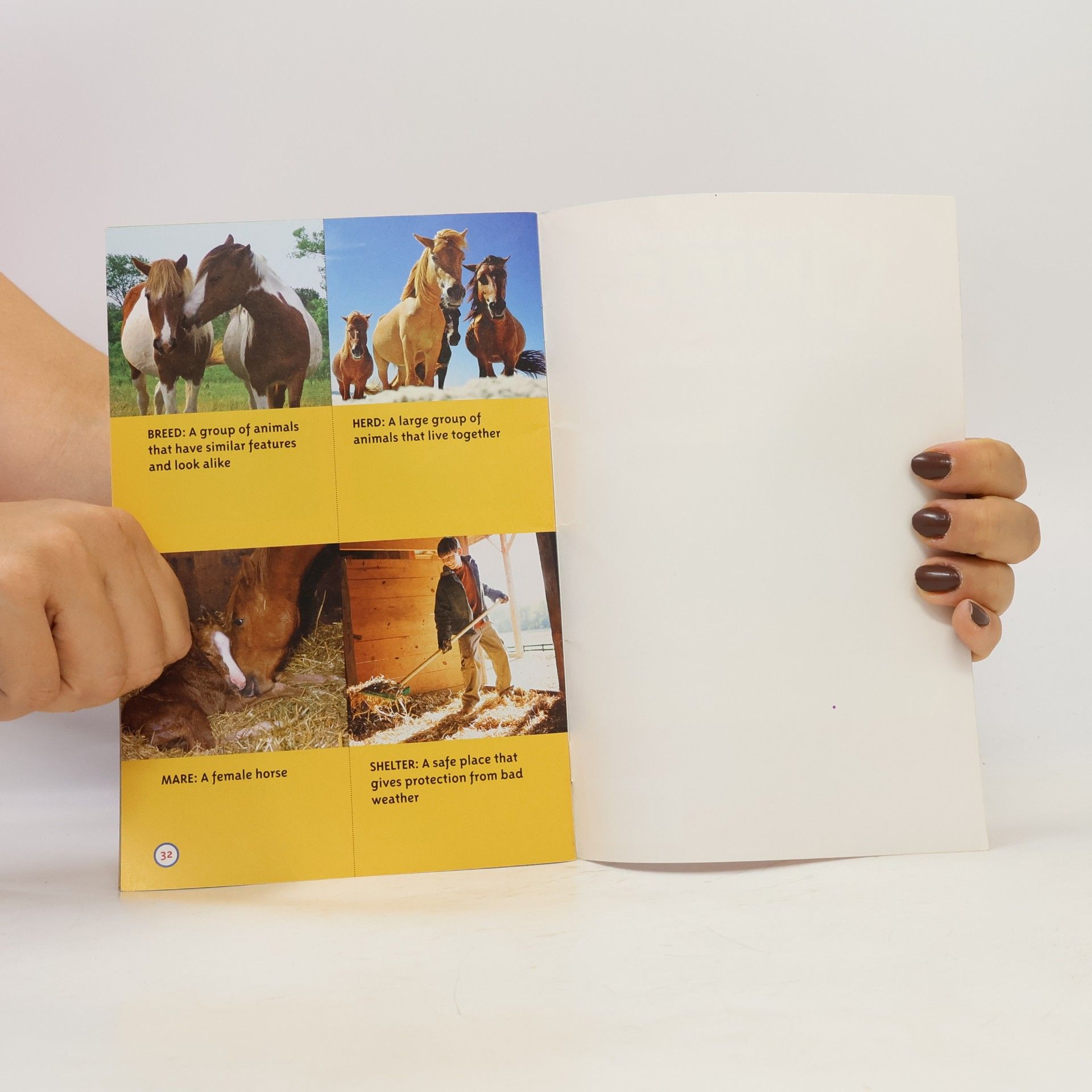 Laura Marsh National Geographic Kids - 1: Ponies