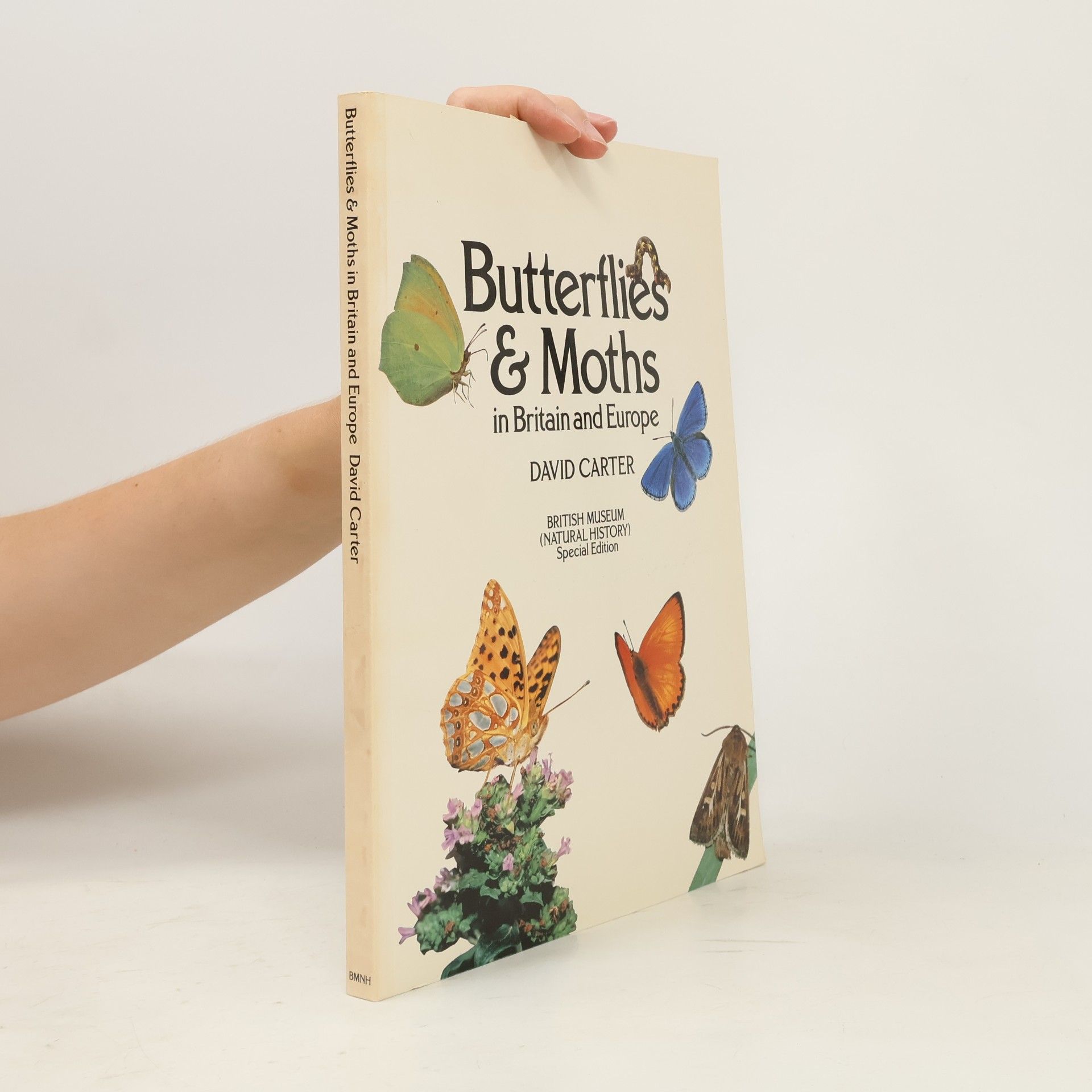 David Carter Butterflies and Moths in Britain and Europe