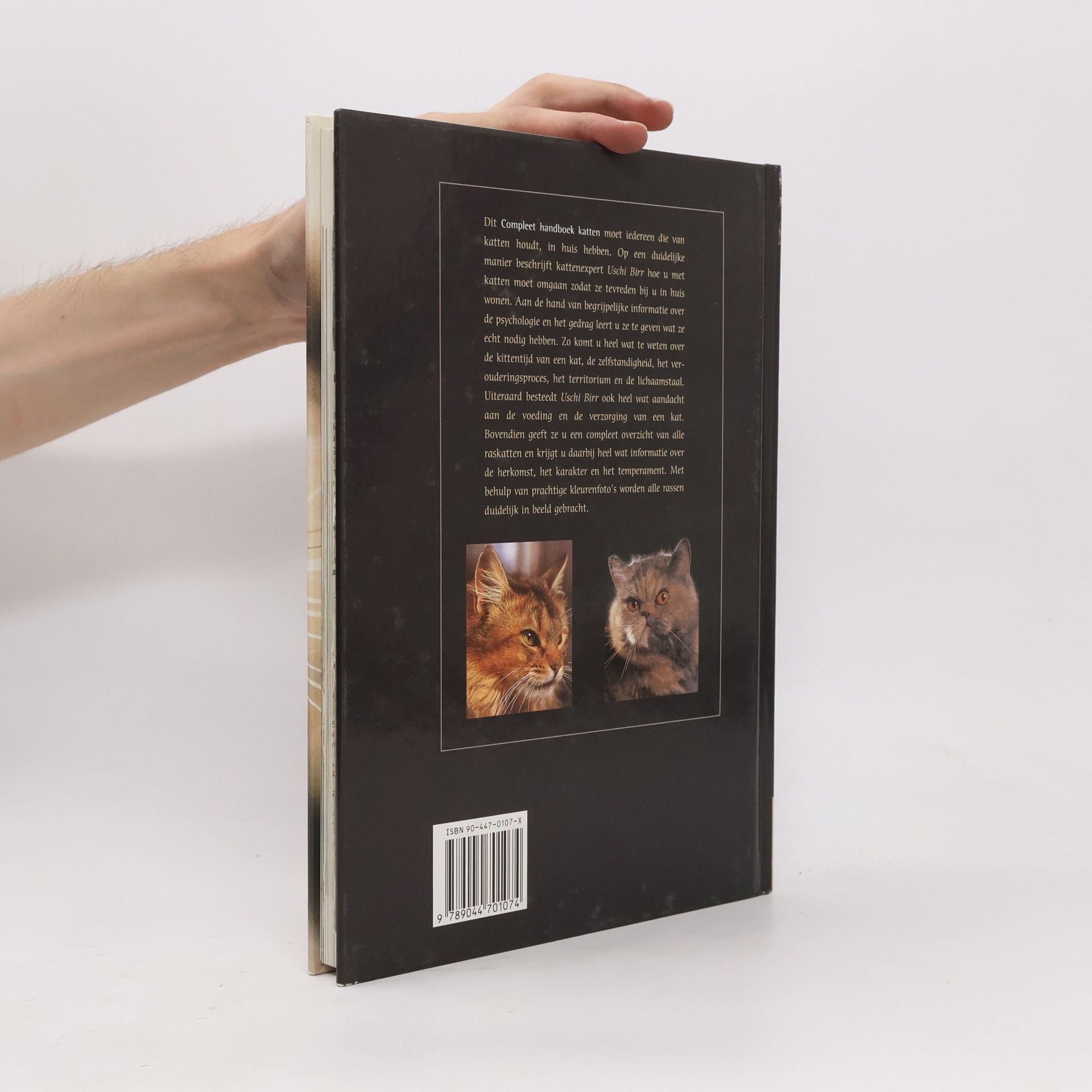 Ursula Birr Compleet handboek katten