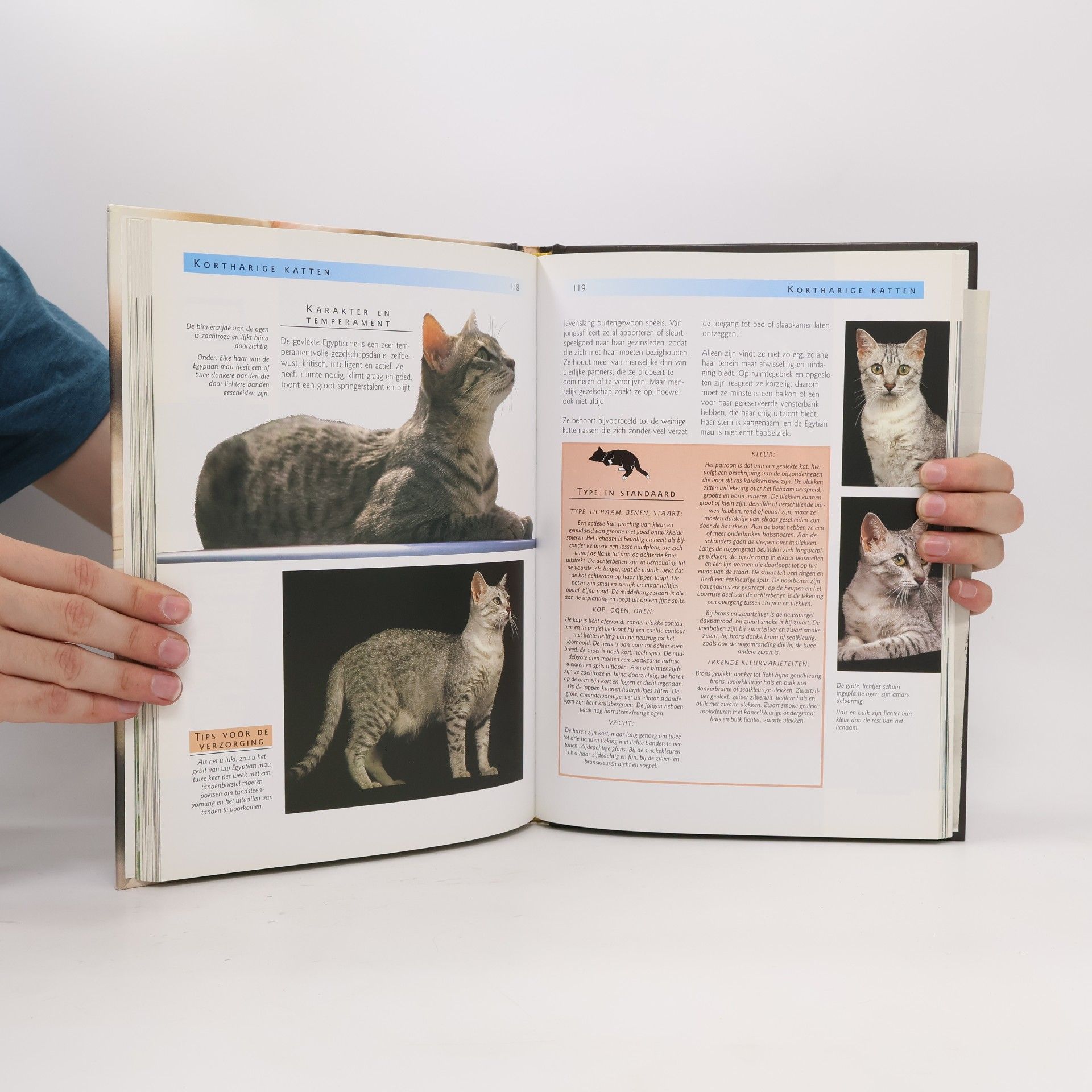 Ursula Birr Compleet handboek katten