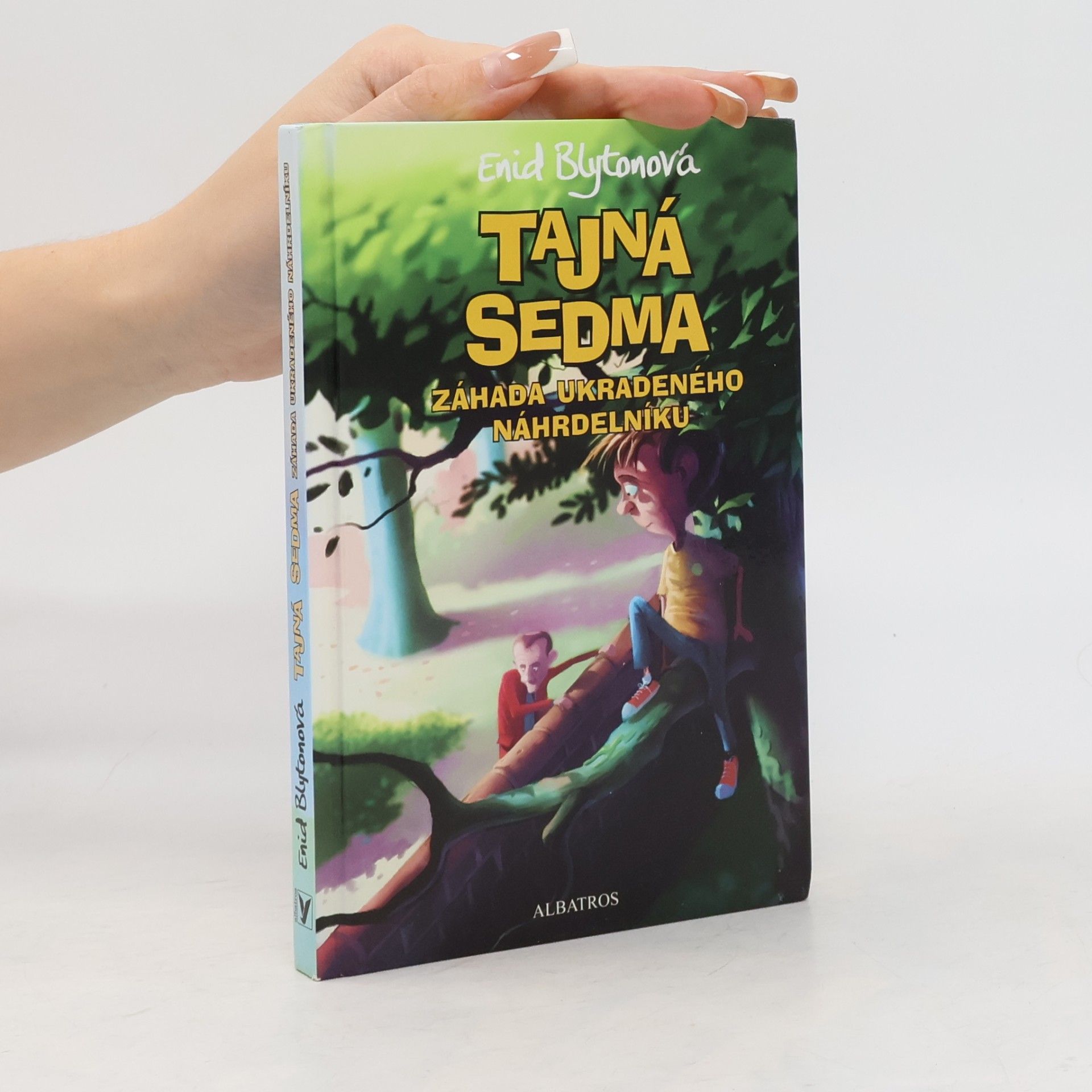 Enid Blyton Záhada ukradeného náhrdelníku