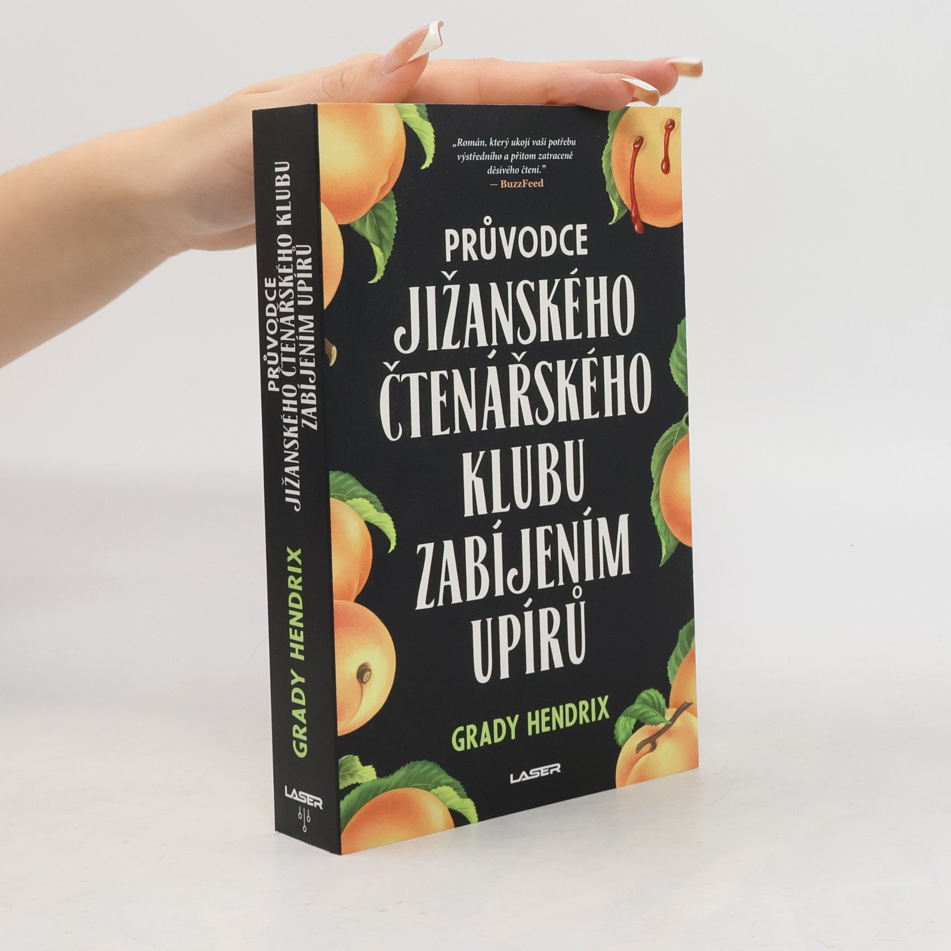 Grady Hendrix Průvodce jižanského čtenářského klubu zabíjením upírů