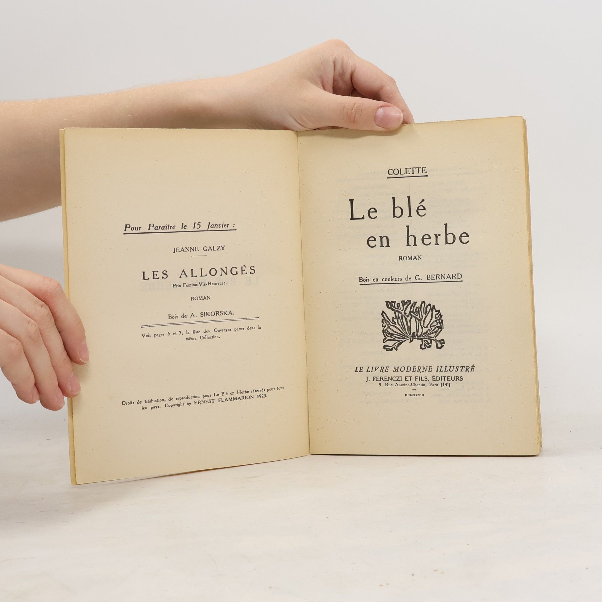 Colette Le blé en herbe