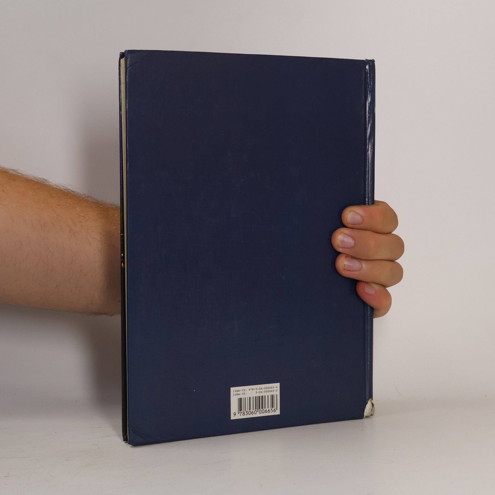 Dietrich Pohlmann Klasse 6, Schülerbuch