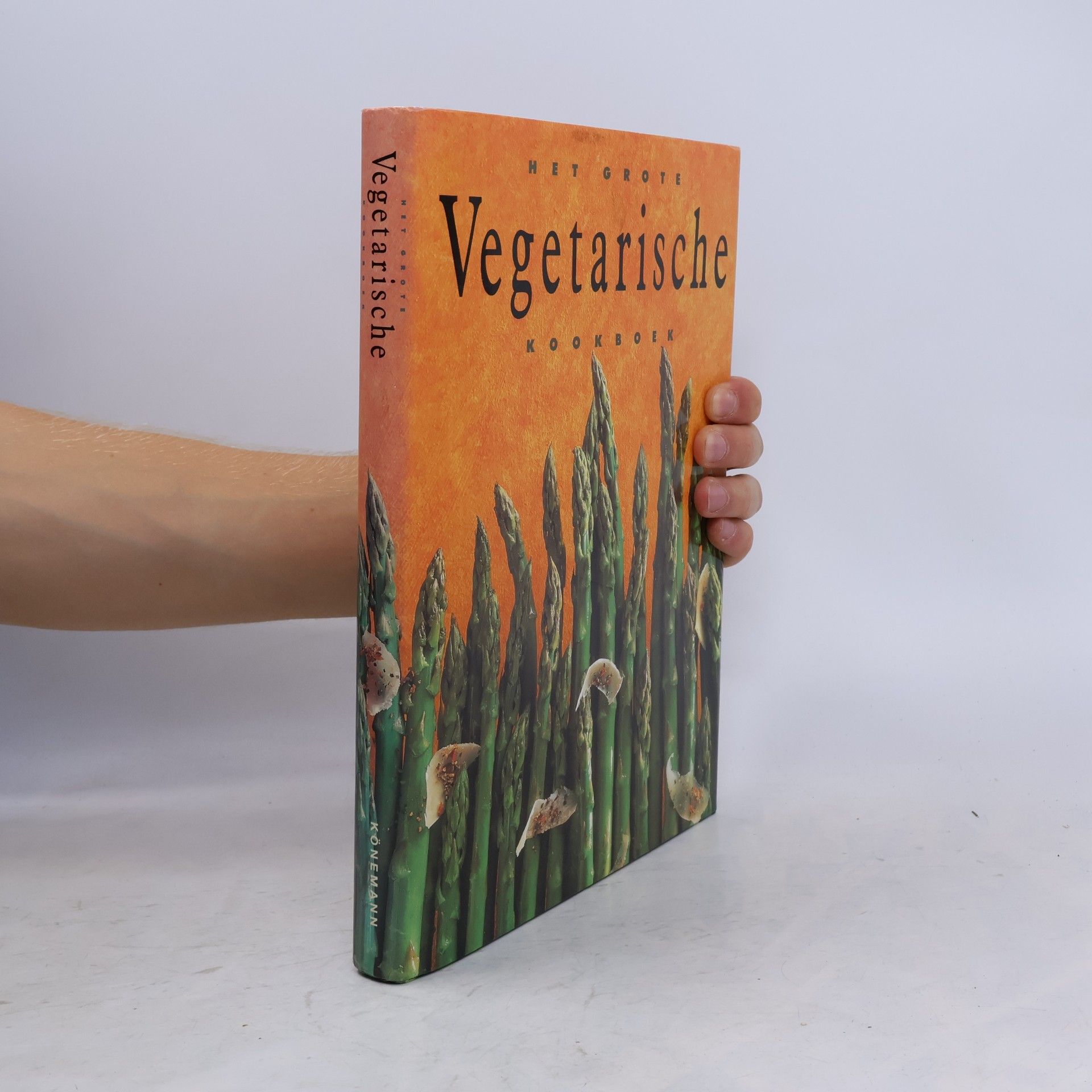 Anna Vesting Het grote vegetarische kookboek