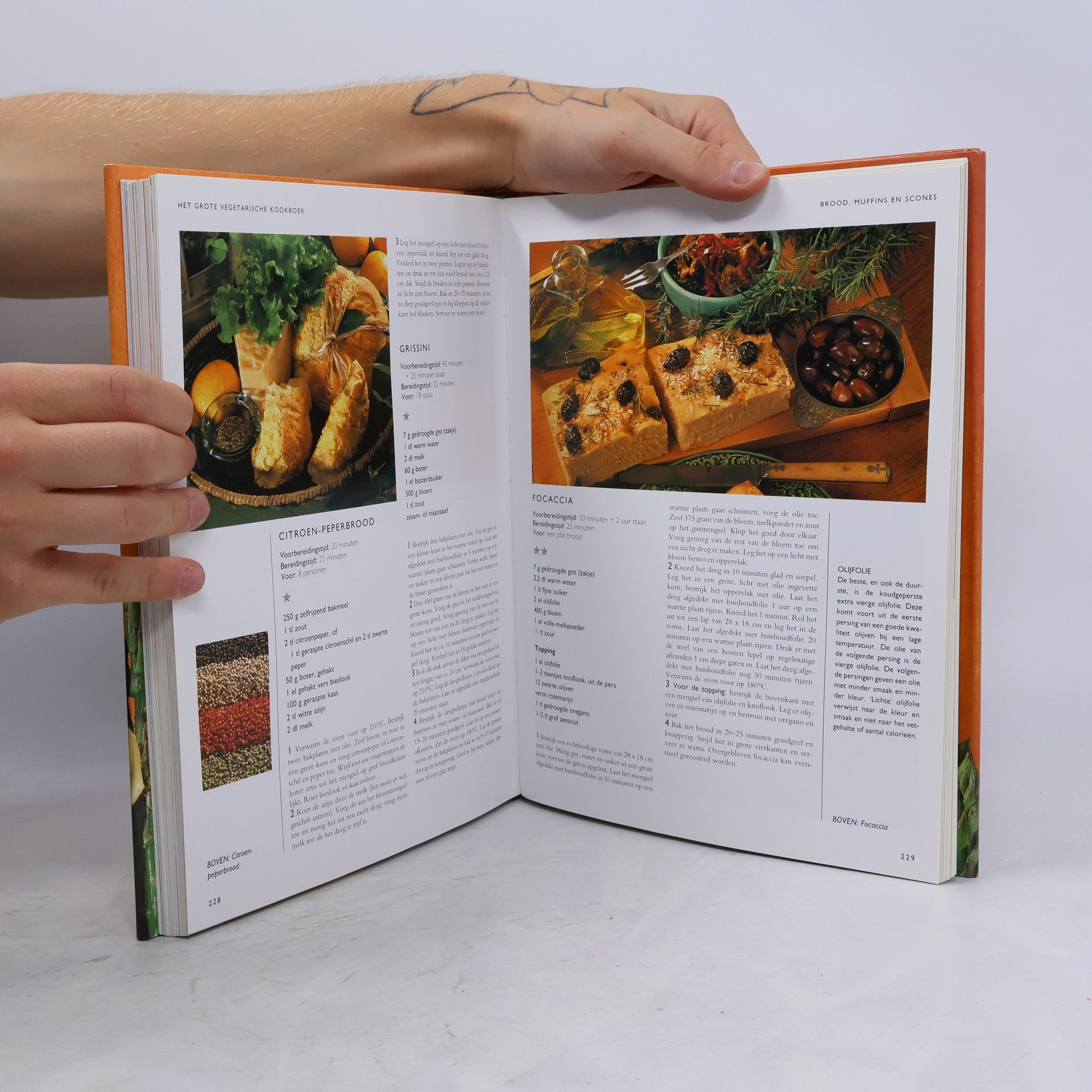 Anna Vesting Het grote vegetarische kookboek