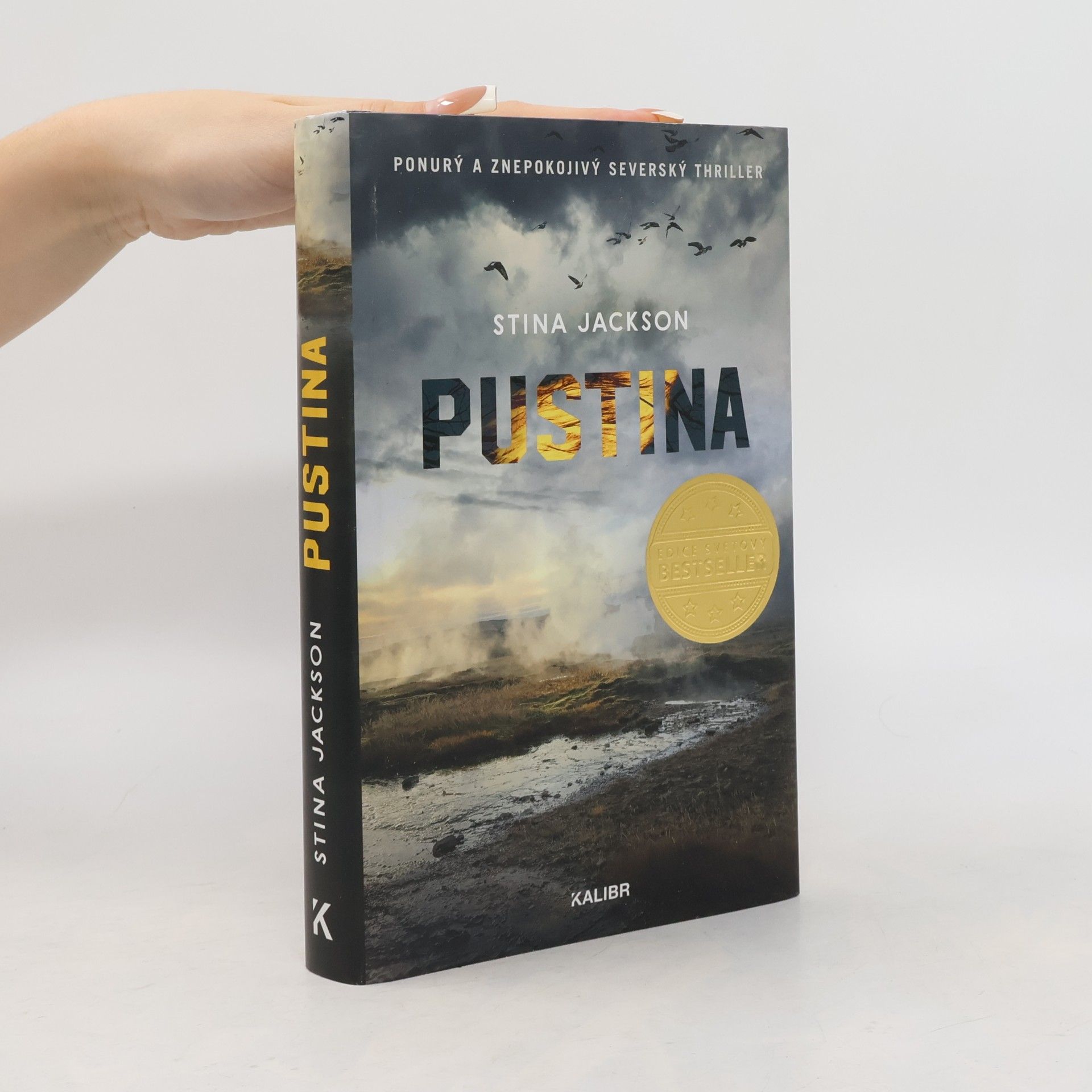 Stina Jackson Pustina