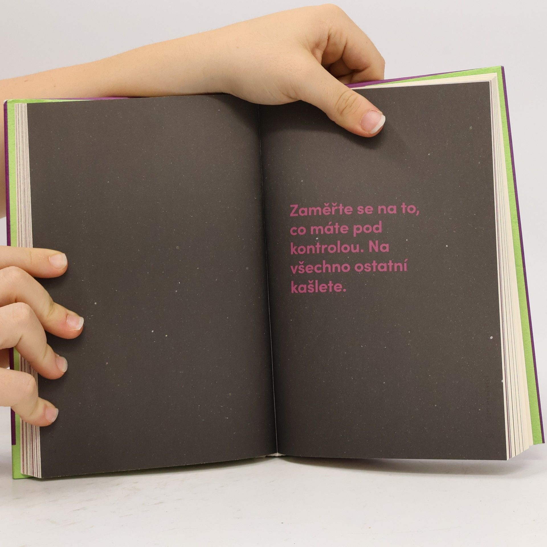 Mark Manson Důmyslné umění, jak mít všechno u pr**le. Pracovní kniha