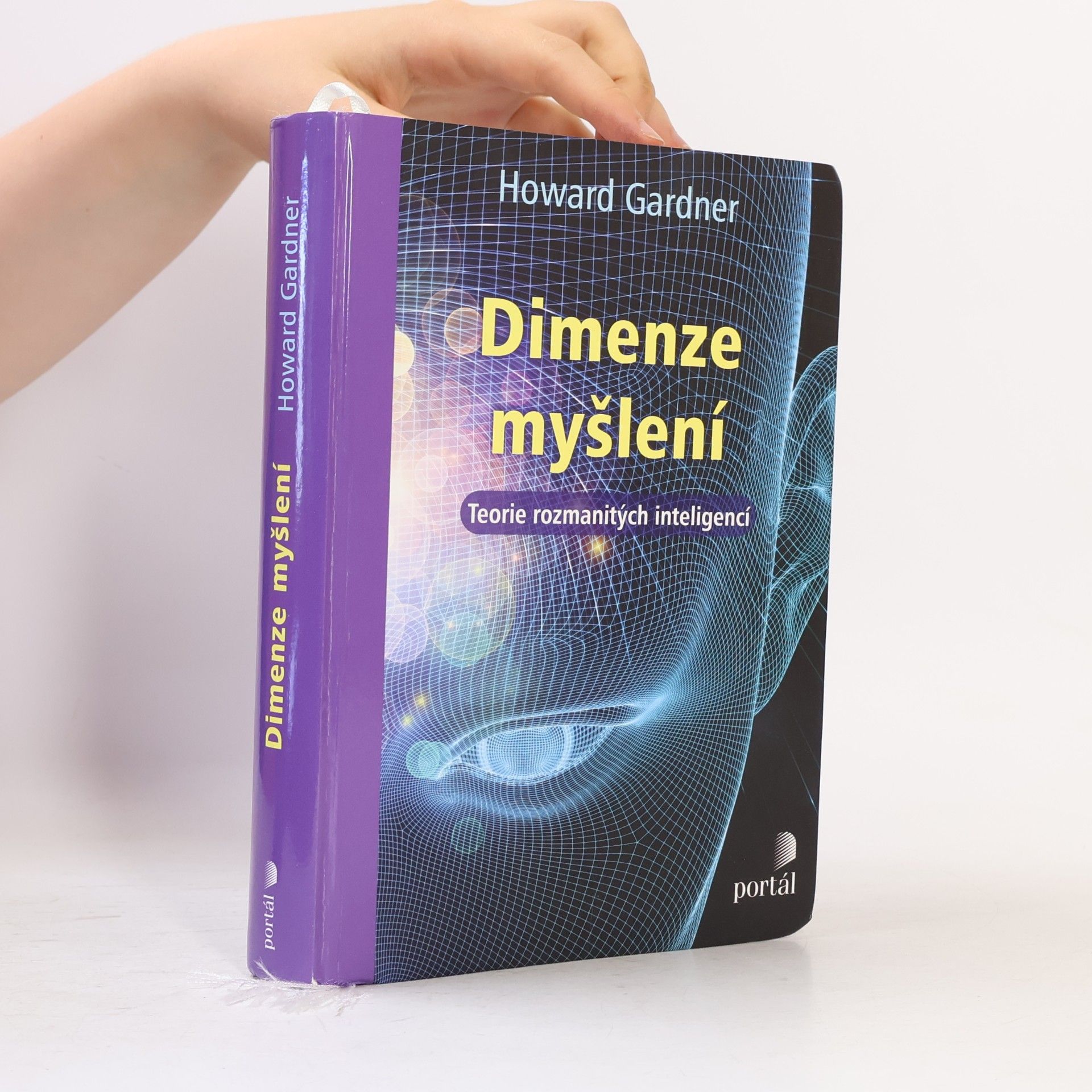 Howard Gardner Dimenze myšlení