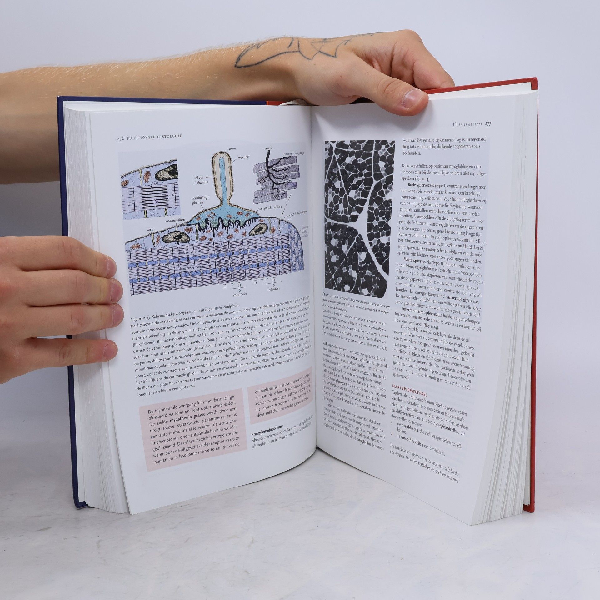 Junqueira, L.C. Functionele histologie