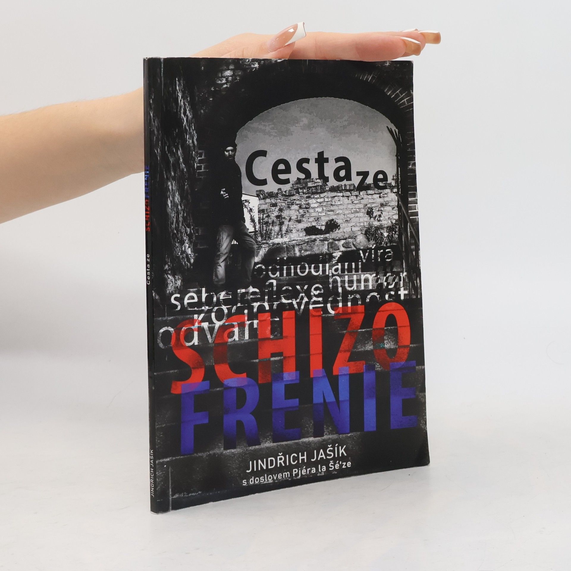 Jindřich Jašík Cesta ze schizofrenie