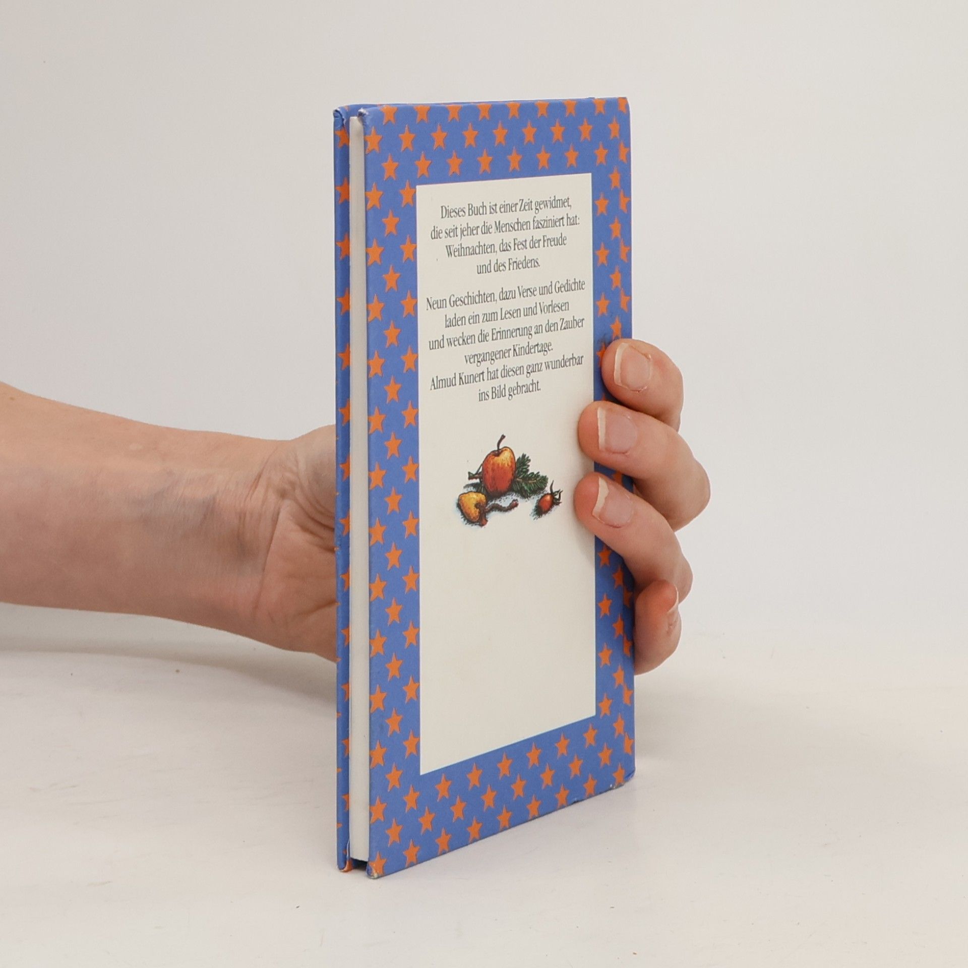 Kolektiv autorů Das kleine Buch... für die schönste Zeit des Jahres
