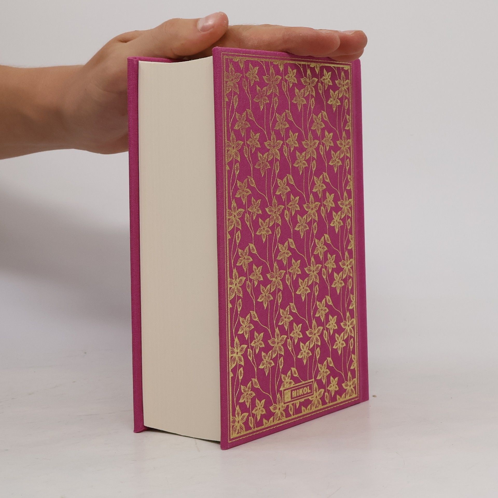 Frank T. Merrill Little Women. Vier Schwestern. Leinen mit Goldprägung: Neuübersetzung mit Illustrationen