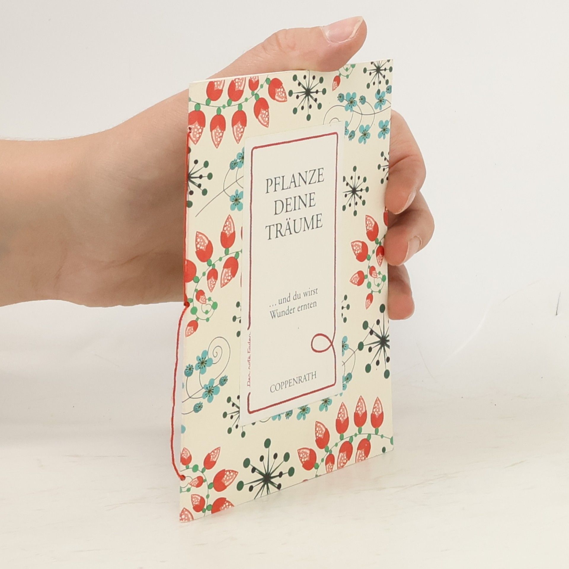 AA.VV. Der rote Faden No.41: Pflanze deine Träume: ... und du wirst Wunder ernten (Verkaufseinheit) (Geschenkbücher für Erwachsene)