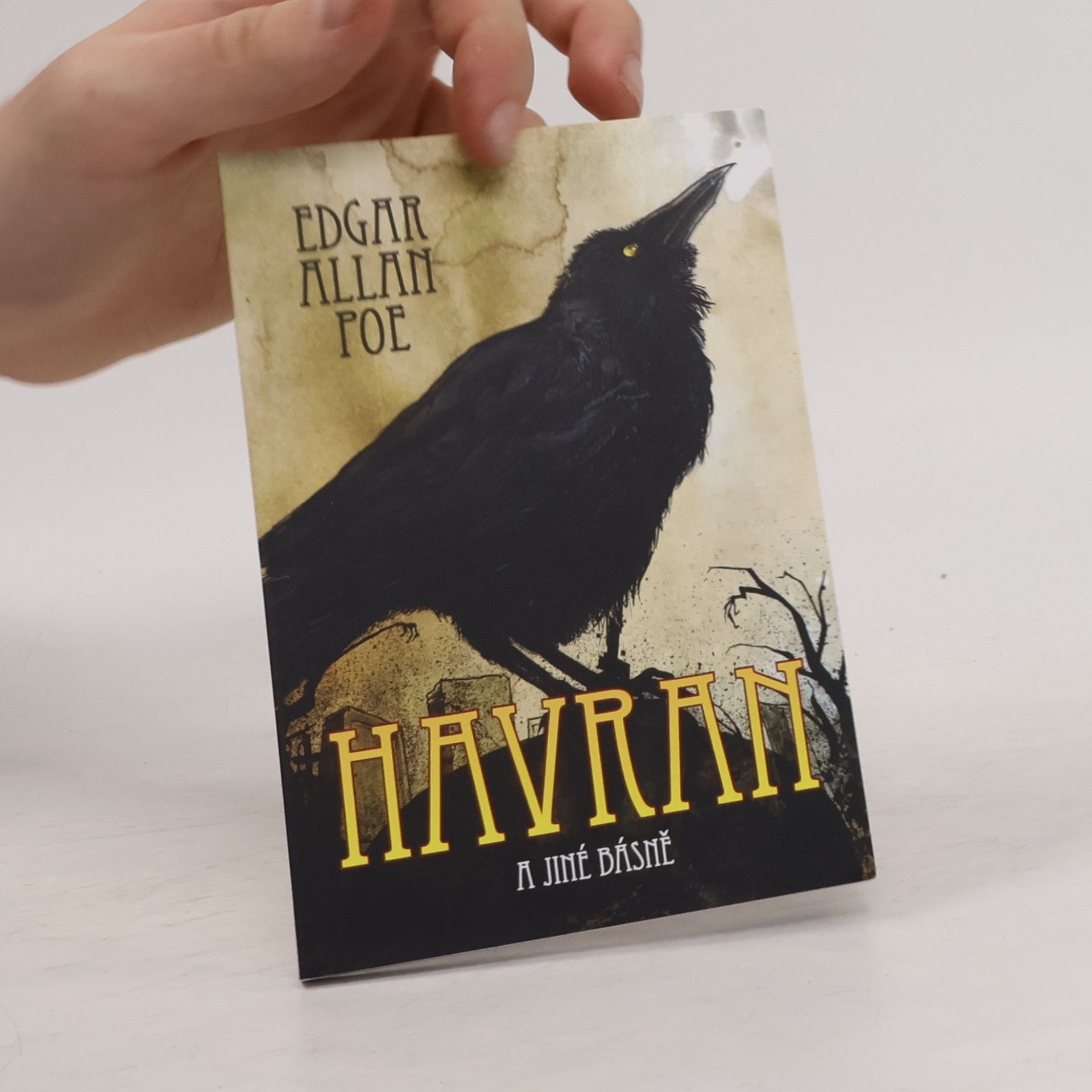 Edgar Allan Poe Havran a jiné básně
