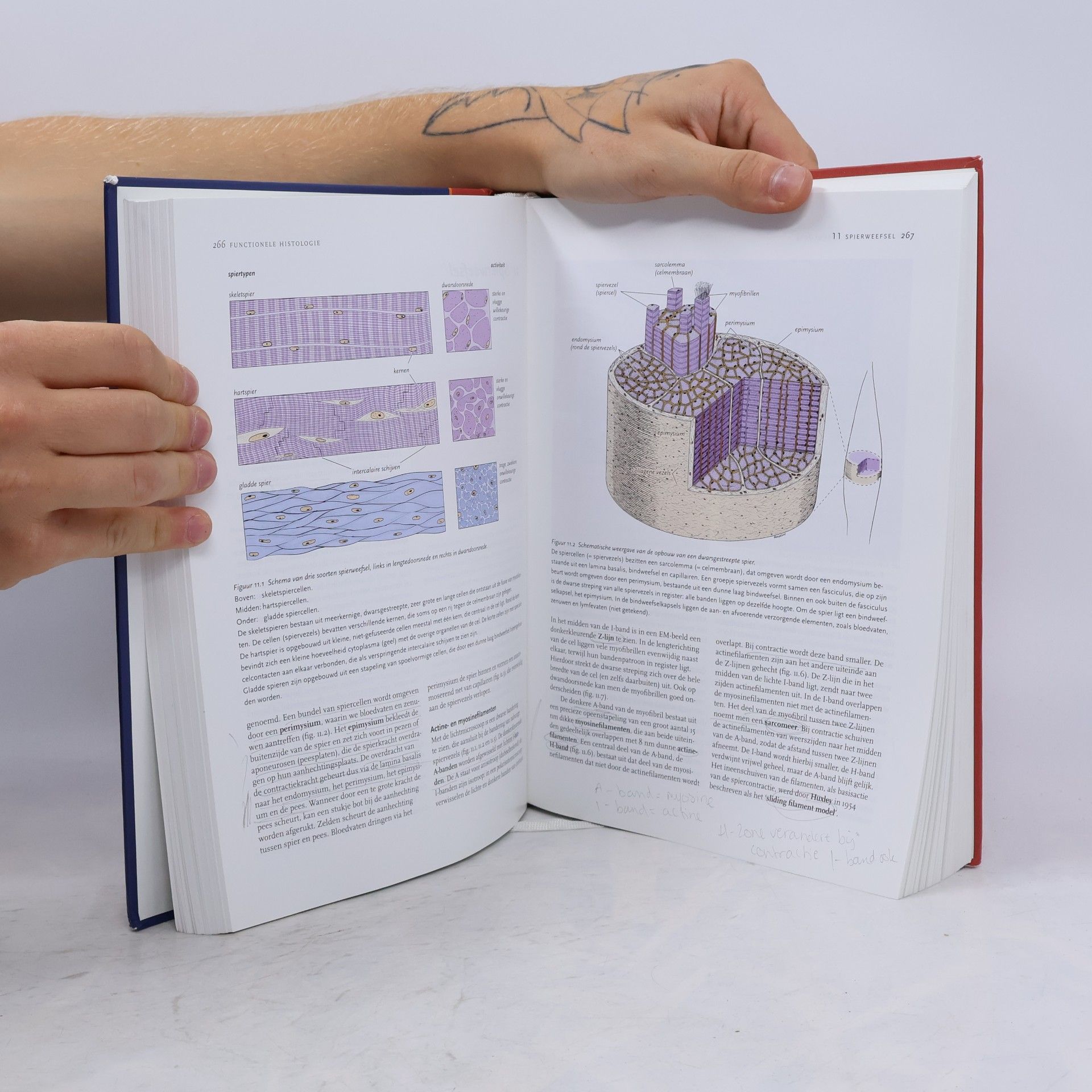 L. Carlos Jungueira Functionele histologie