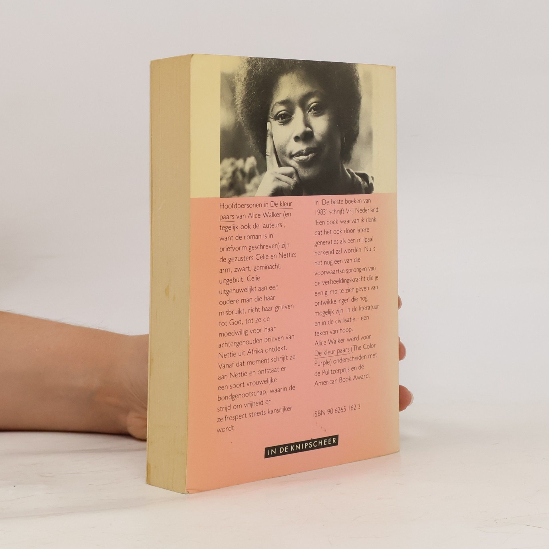 Alice Walker De kleur paars