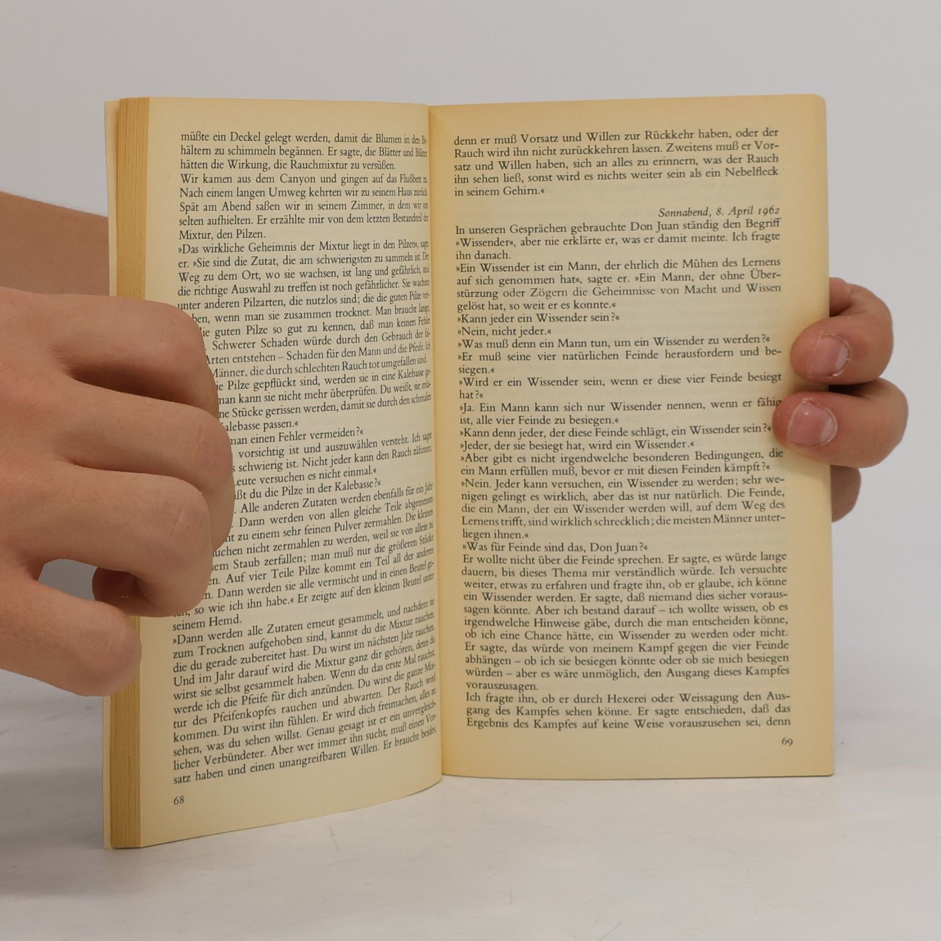 Carlos Castaneda Die Lehren des Don Juan