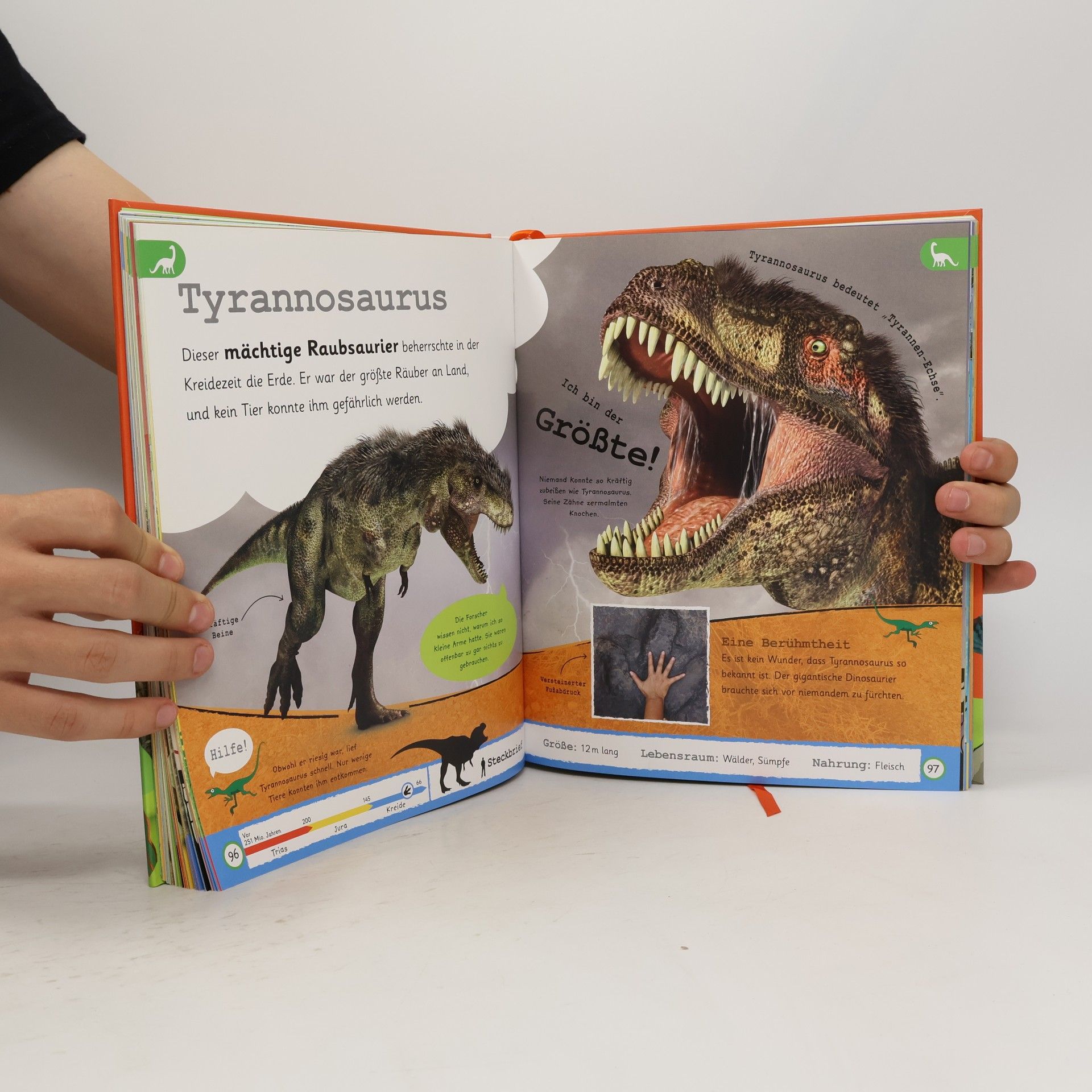 Eva Sixt Was weißt du über Dinos?