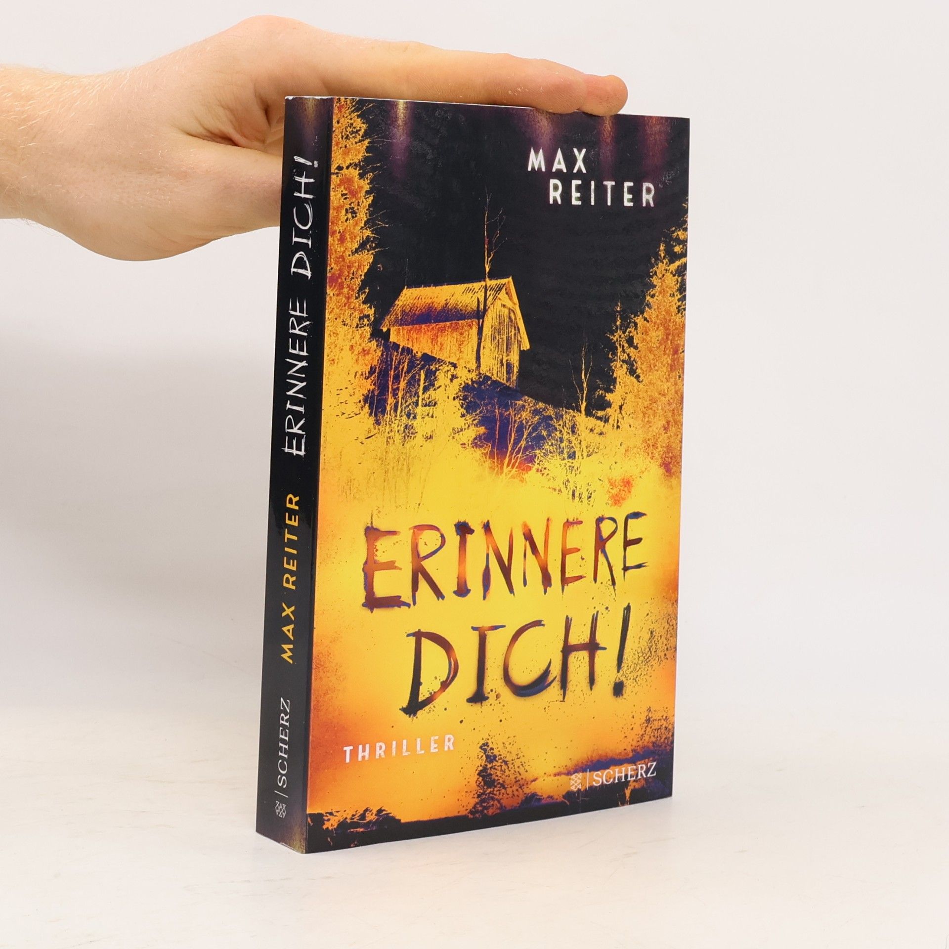 Max Reiter Erinnere dich!