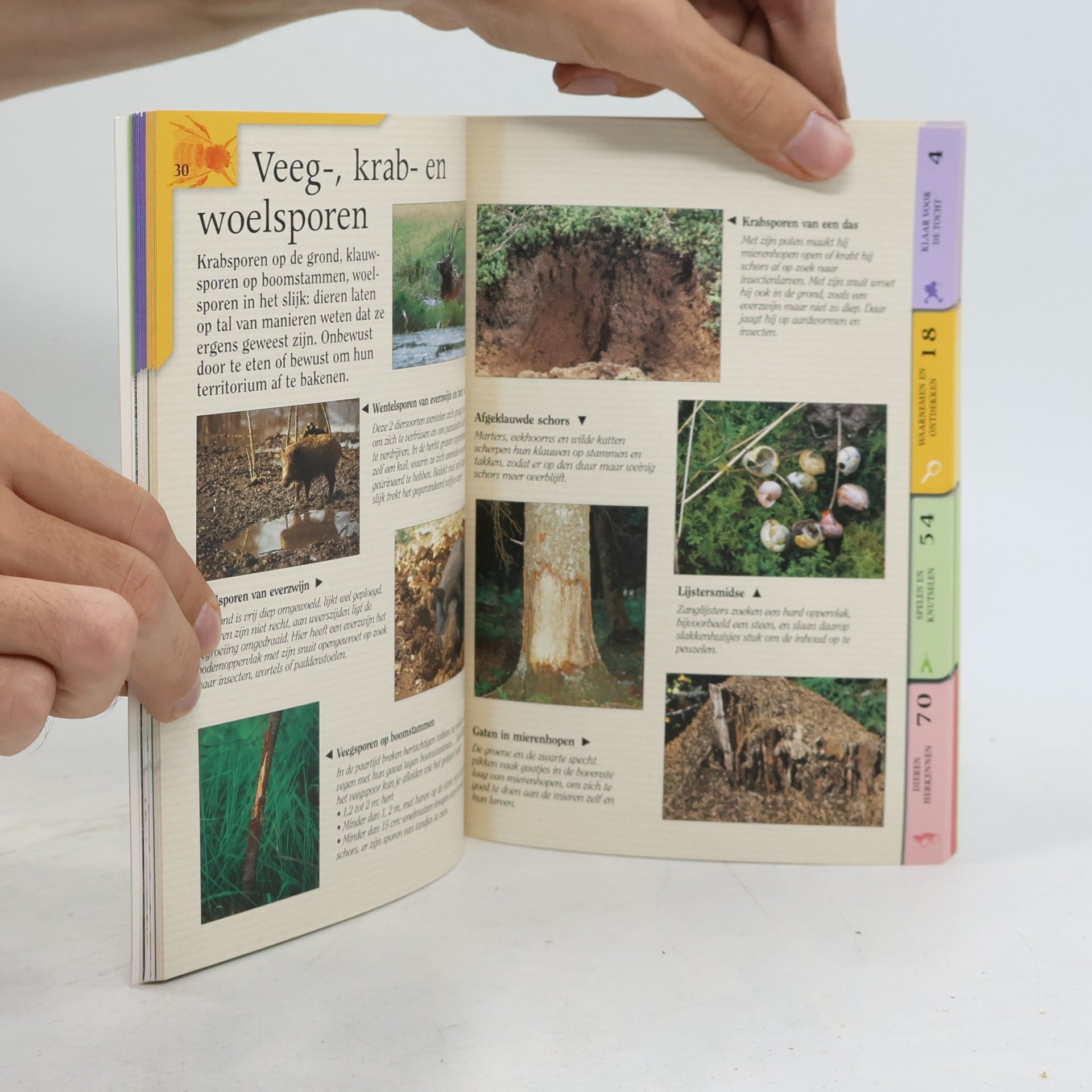 Valerie Traqui Natuurgids voor kinderen: In het bos
