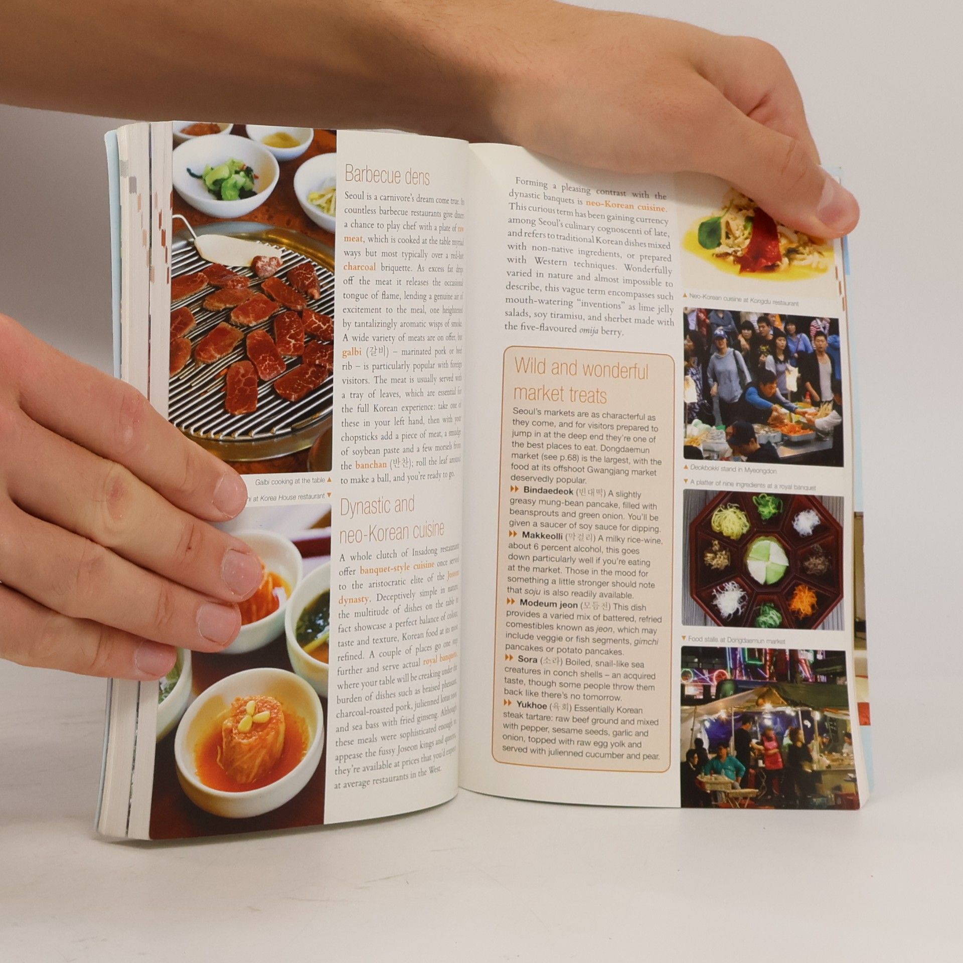 Martin Zatko The rough guide to Seoul