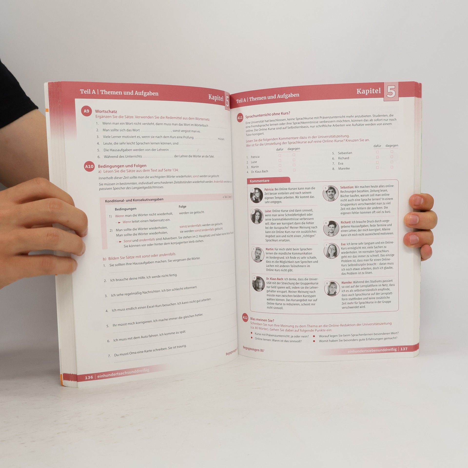 Anne Buscha Begegnungen Deutsch als Fremdsprache B1+: Integriertes Kurs- und Arbeitsbuch