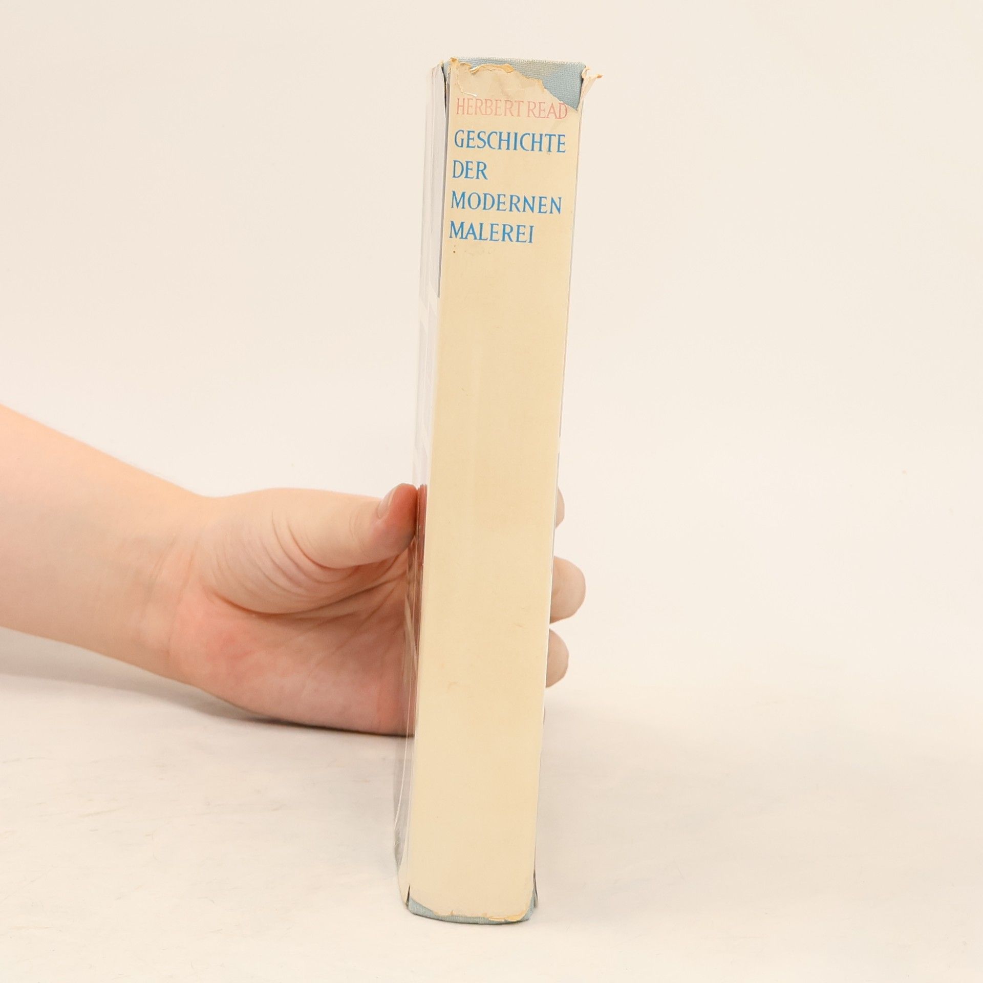 Herbert Edward Read Geschichte der modernen Malerei