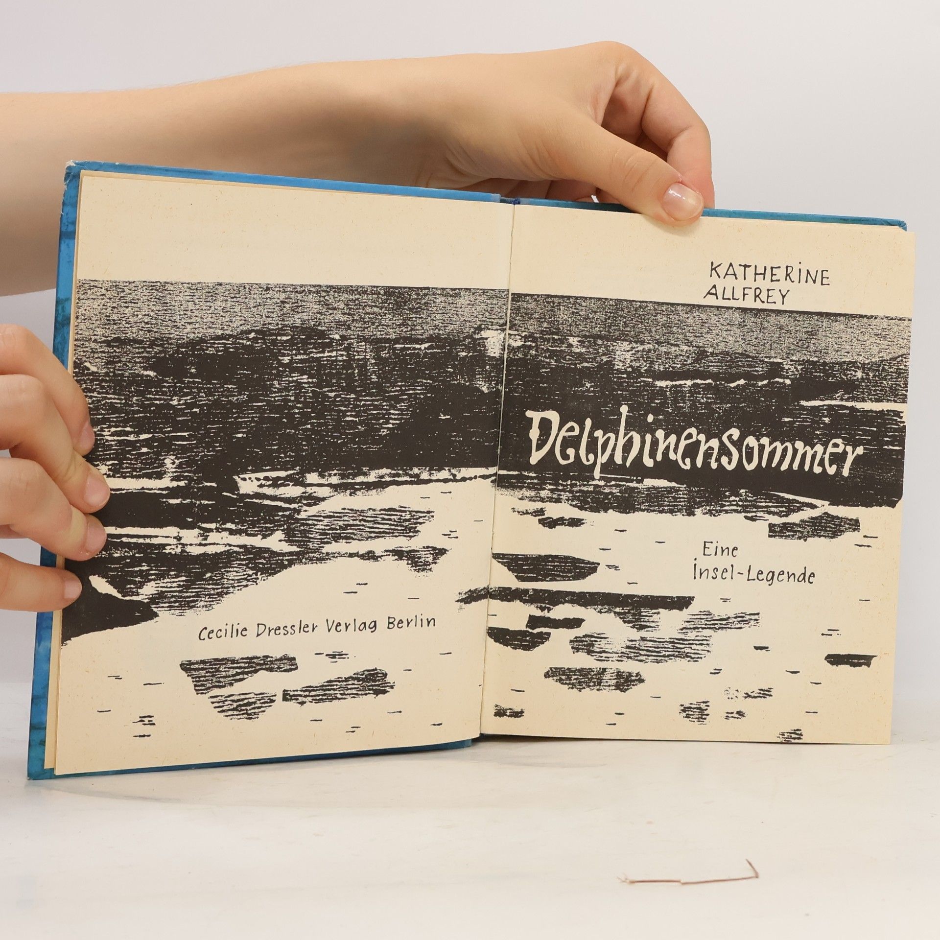 Katherine Allfrey Delphinensommer