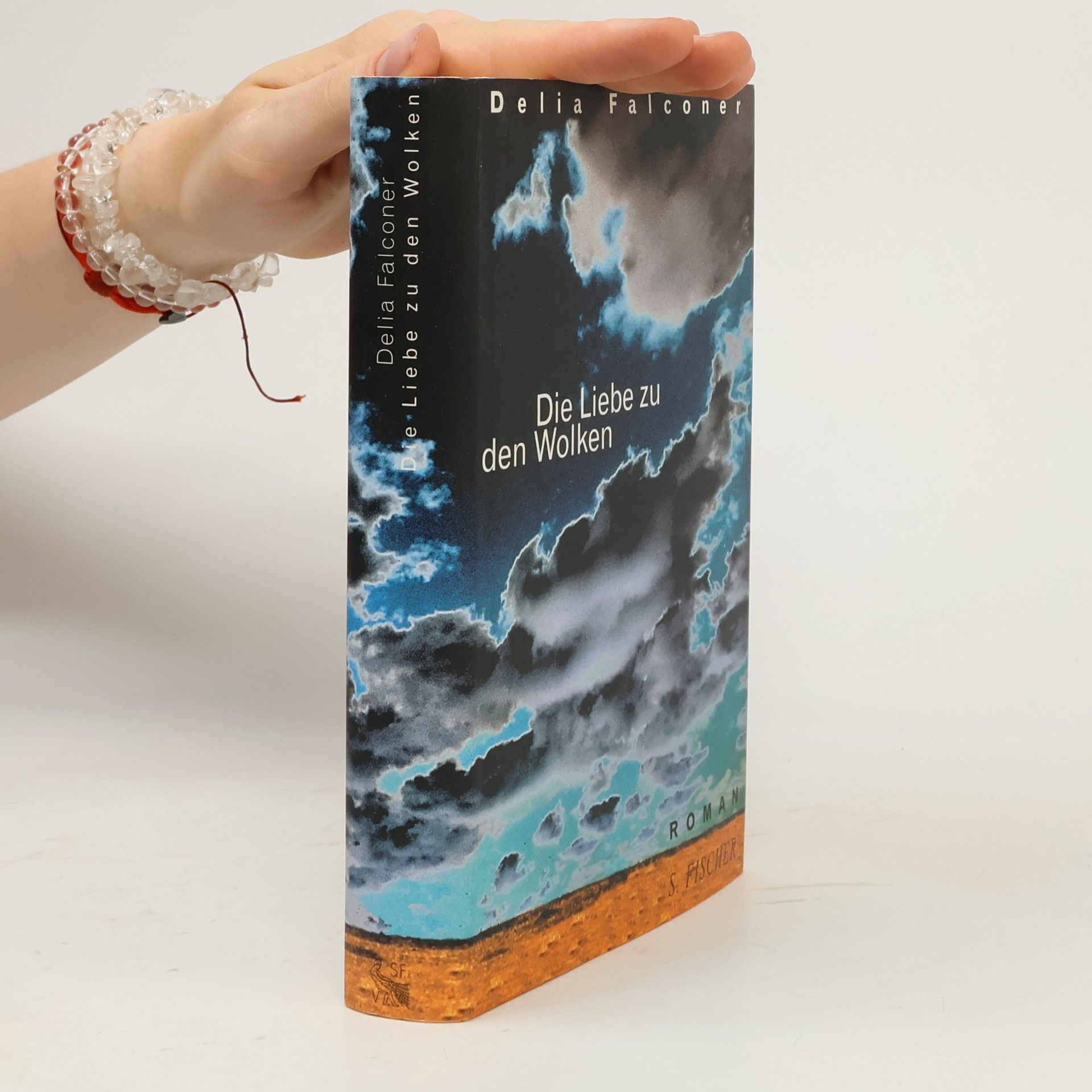 Delia Falconer Die Liebe zu den Wolken