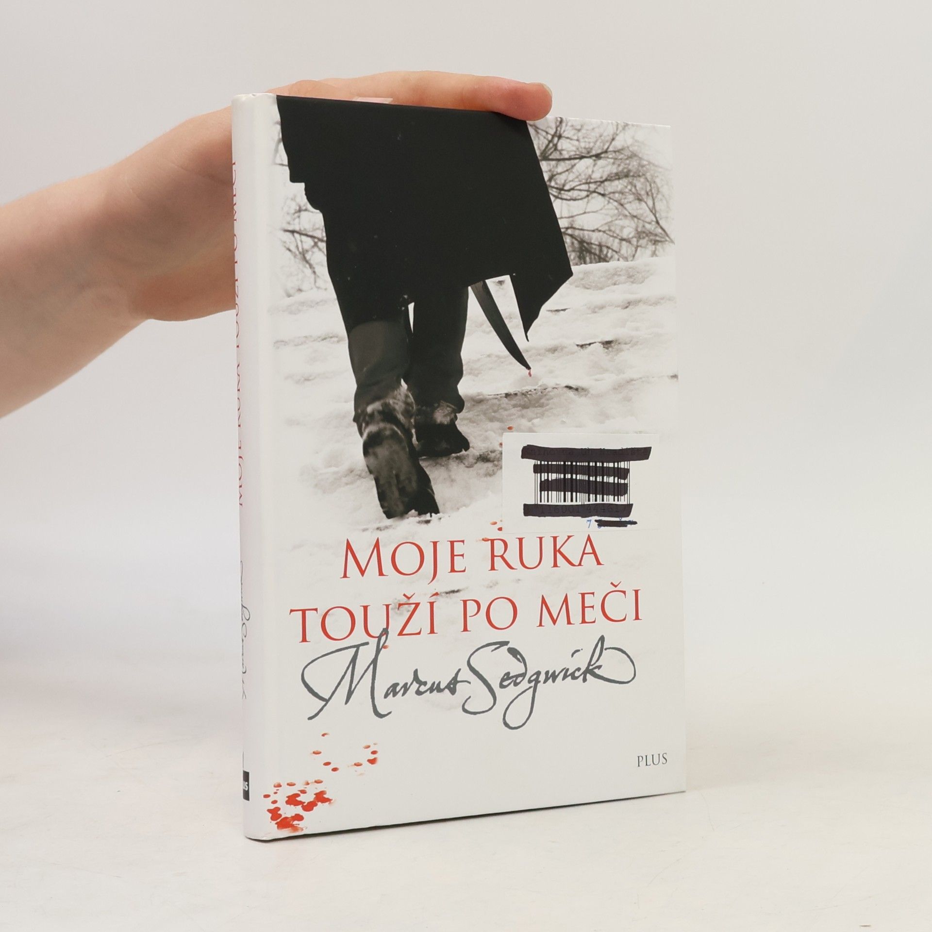 Marcus Sedgwick Moje ruka touží po meči