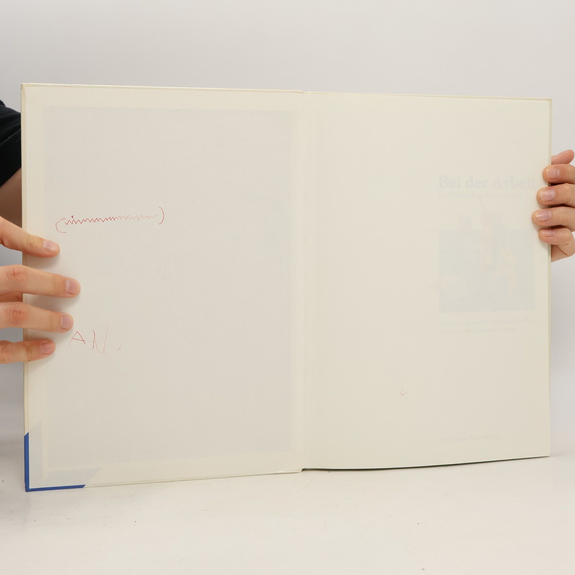 Ursel Scheffler Bei der Arbeit. Ein Bilderbuch von den Berufen