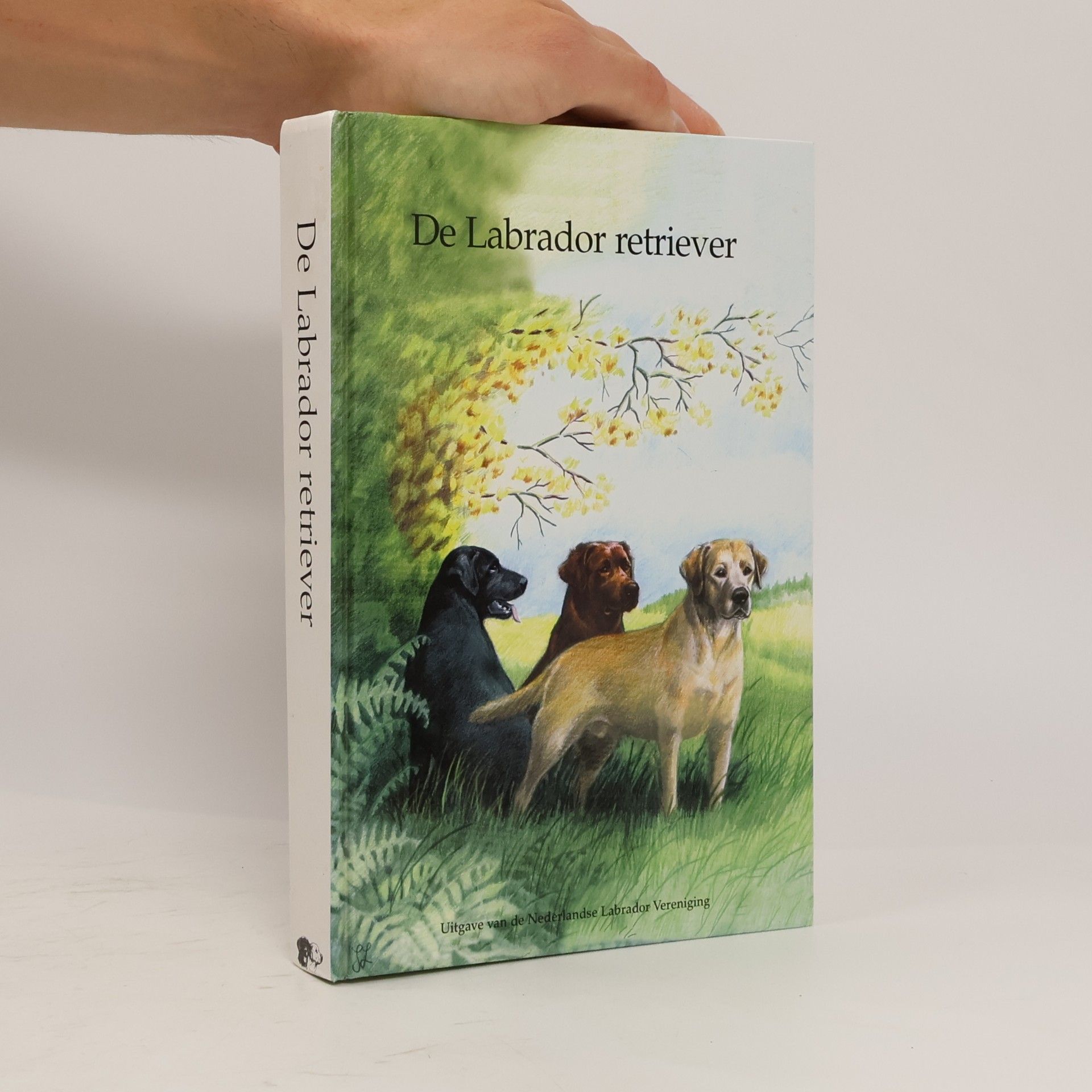 De labrador retriever