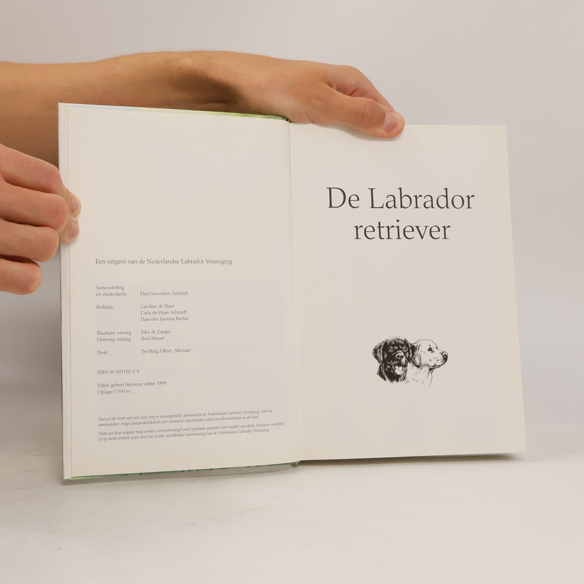 De labrador retriever